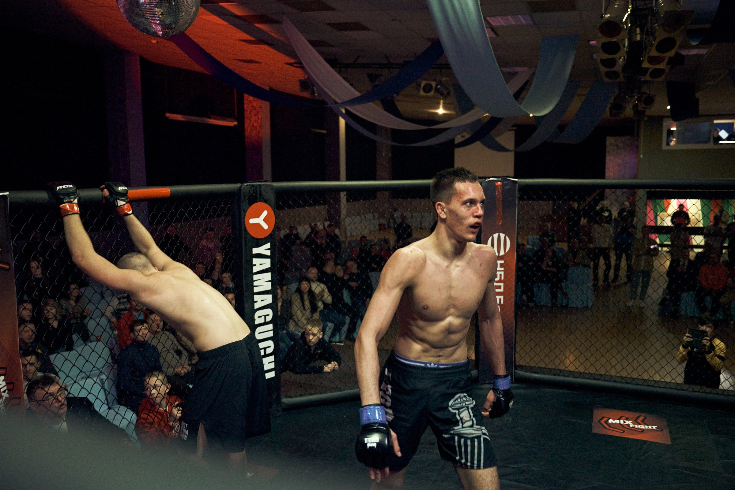 Бои. Маляревич Дмитрий свадебный фотограф