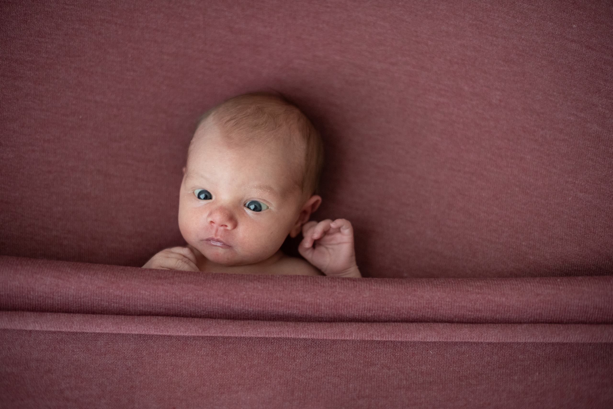 Ретушь новорожденных, беременности, годовасия и фотопроектов. Ретушь новорожденных, обучение ретуши новорожденных, Наталия Коптяева