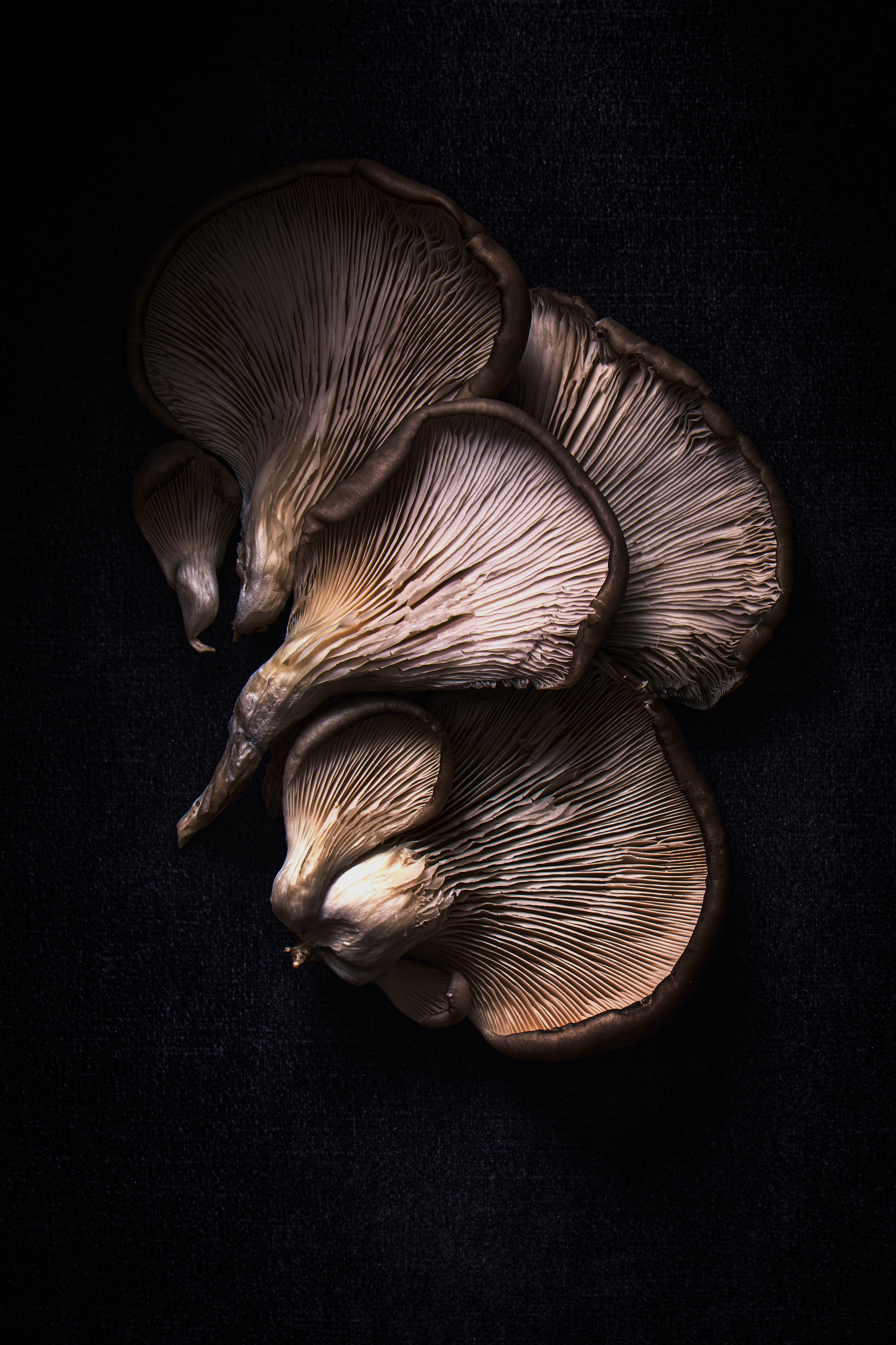 Я  фотограф. Работаю в городе Москва,