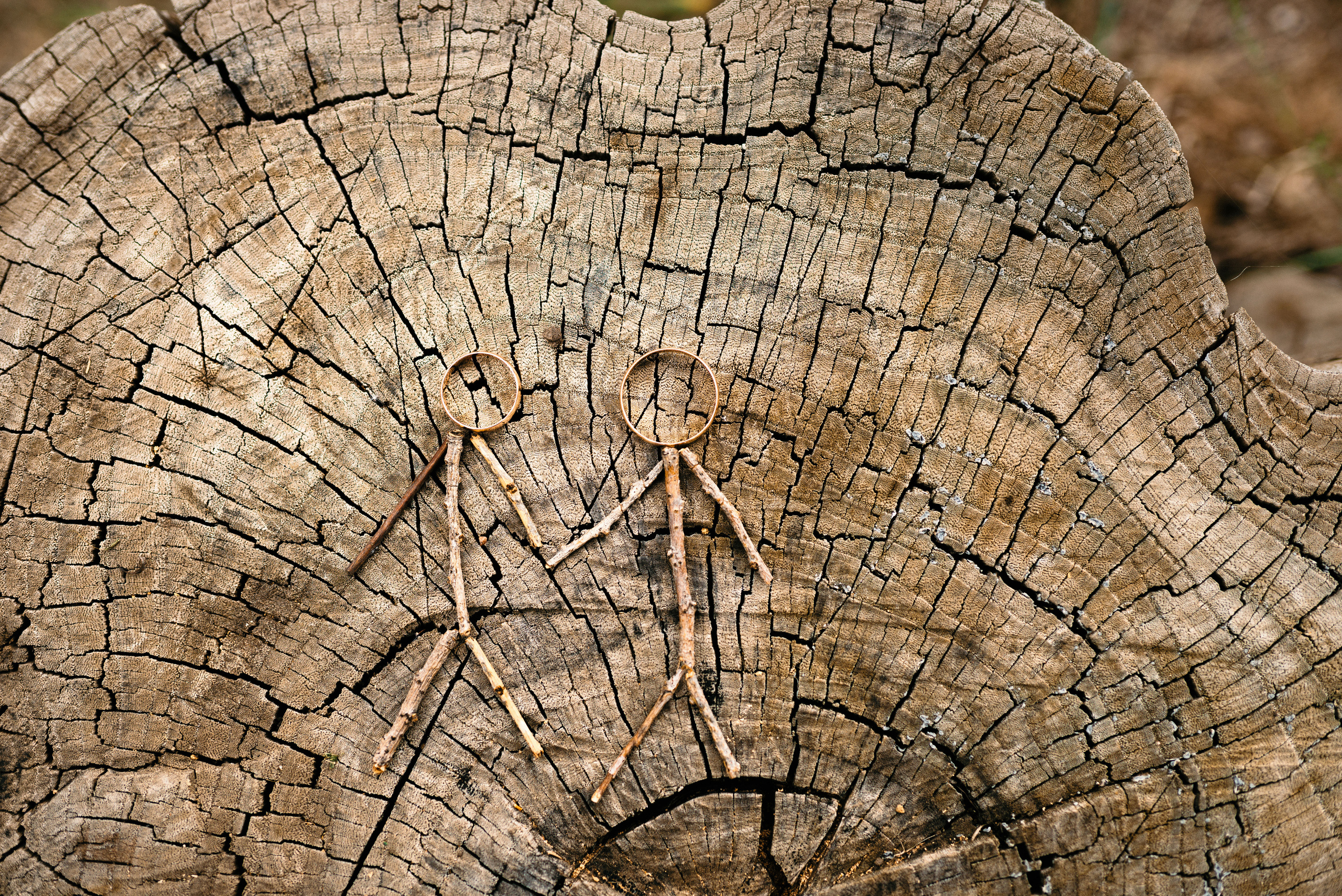 фото свадебные кольца красиво