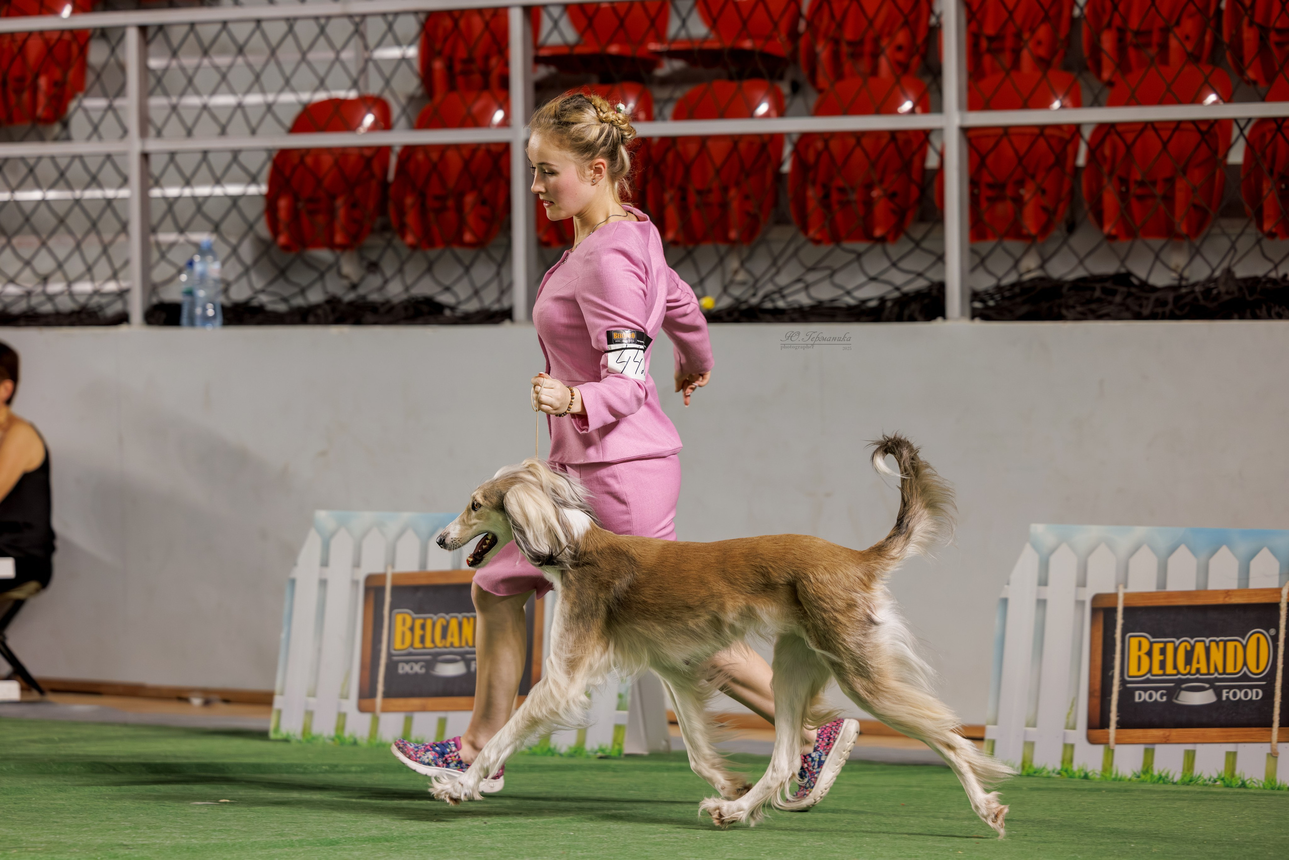 Телави 11-12.10.2025. Фотограф-анималист Юлия Германика