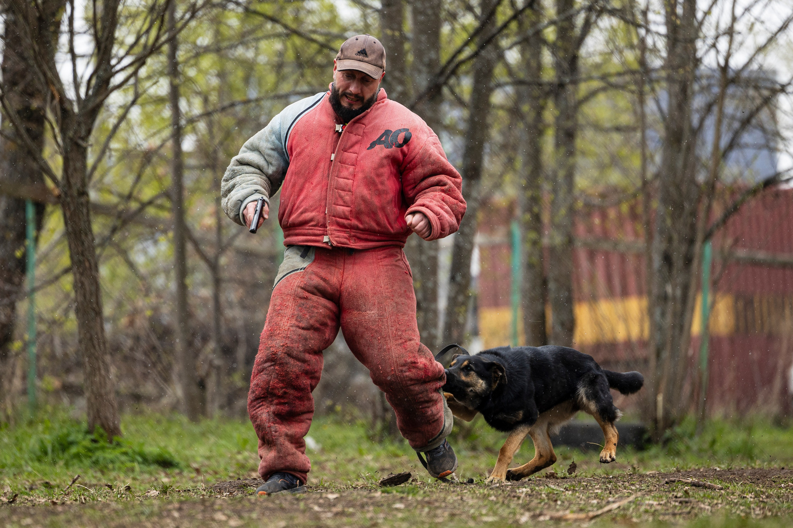 Квалификационные состязания по мондьорингу г. Вологда 11.05.24. Фотограф-анималист Анна Маринич