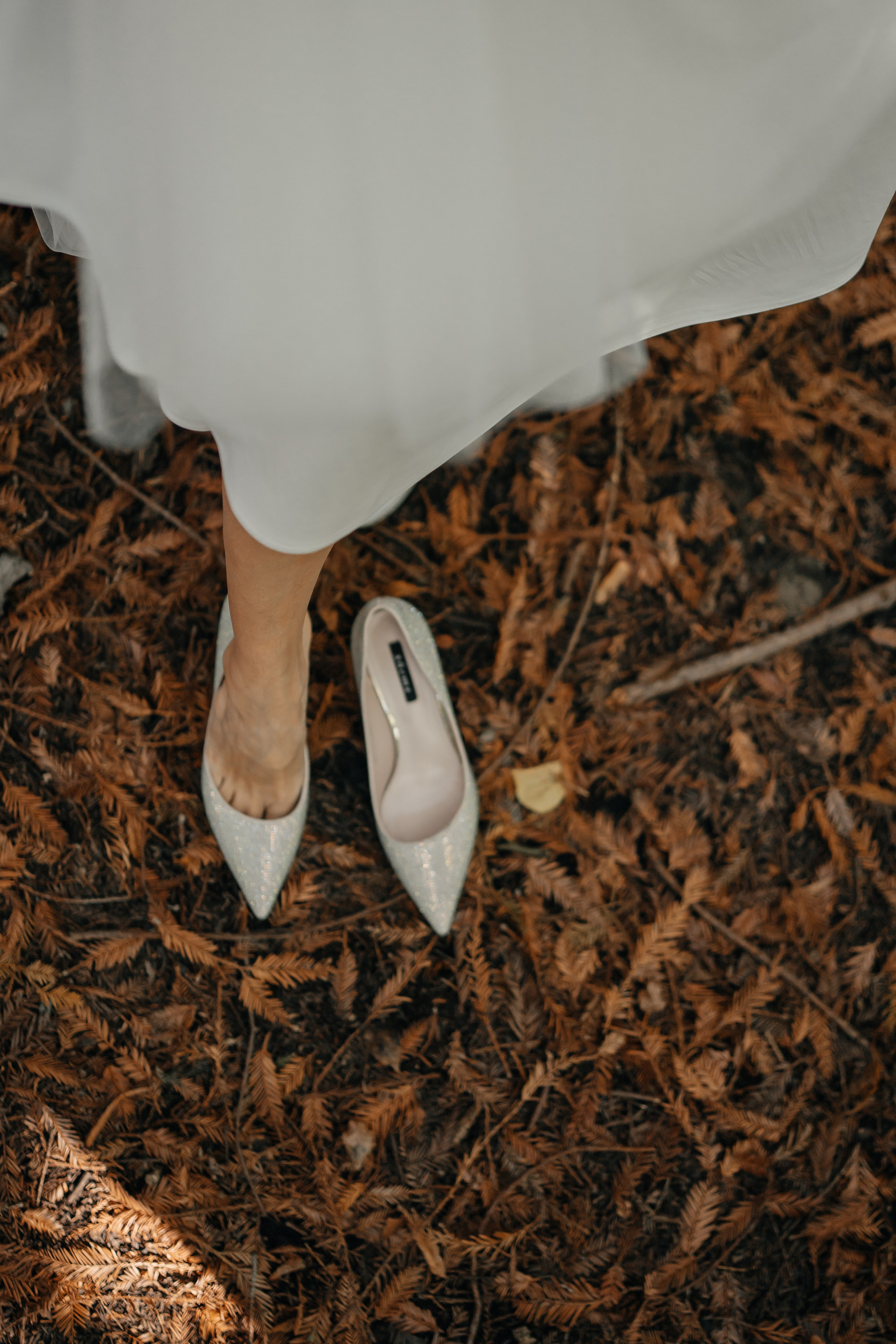 Свадьба Дмитрия и Алёны. Главная