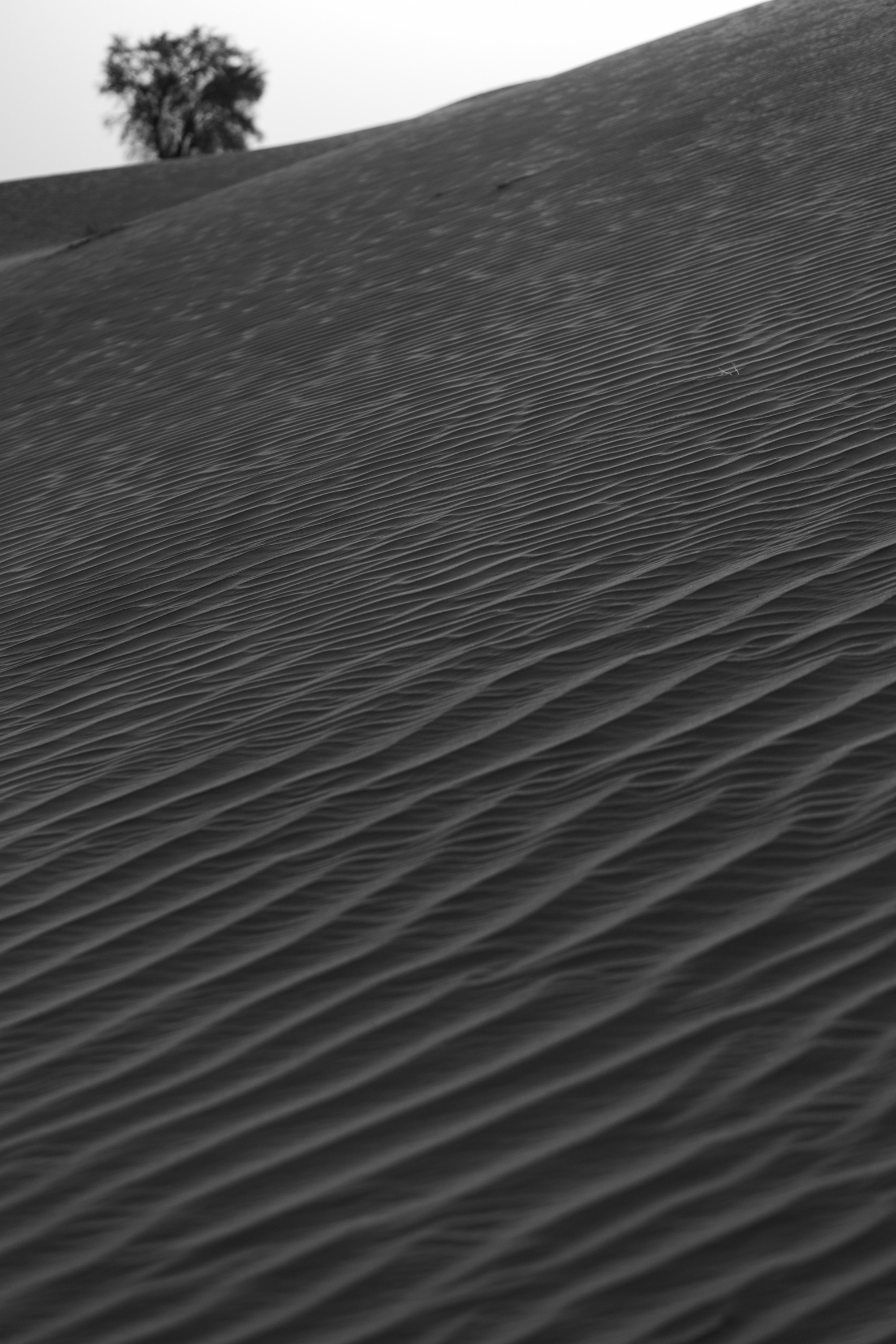 Marty & Kate Love Story. Антон Прокопенков Свадебный Фотограф +7(916) 013-35-12