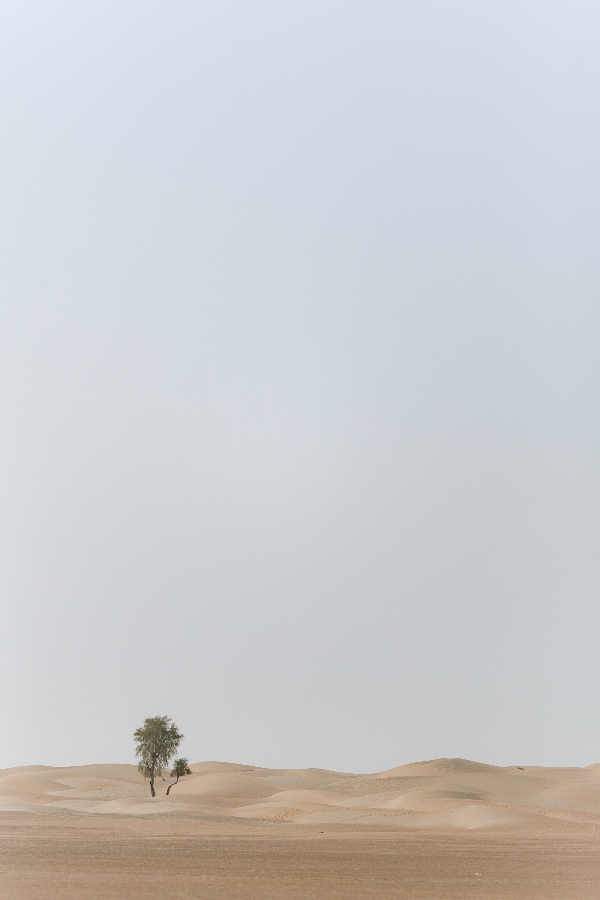 Marty & Kate Love Story. Антон Прокопенков Свадебный Фотограф +7(916) 013-35-12