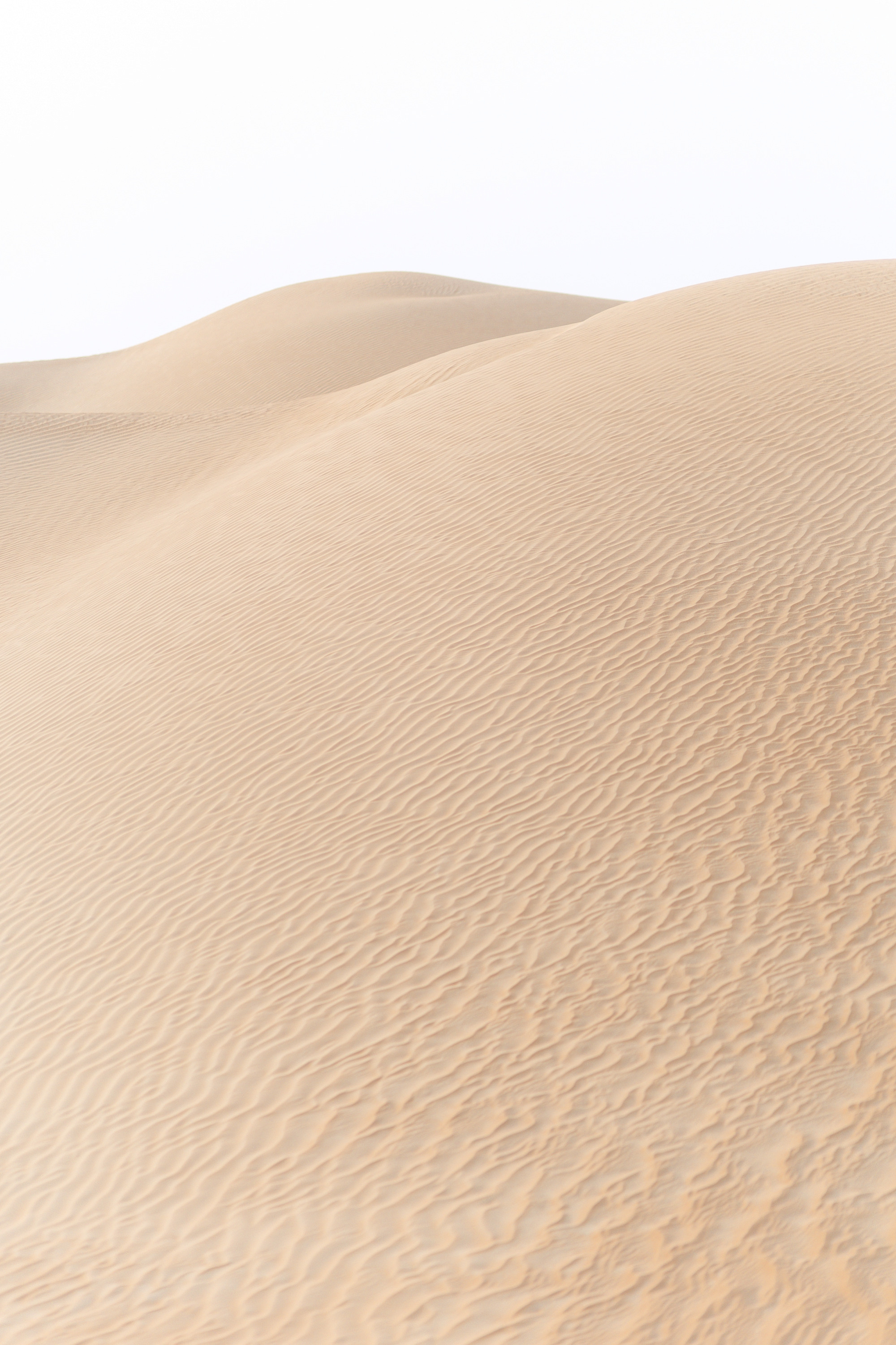 Marty & Kate Love Story. Антон Прокопенков Свадебный Фотограф +7(916) 013-35-12