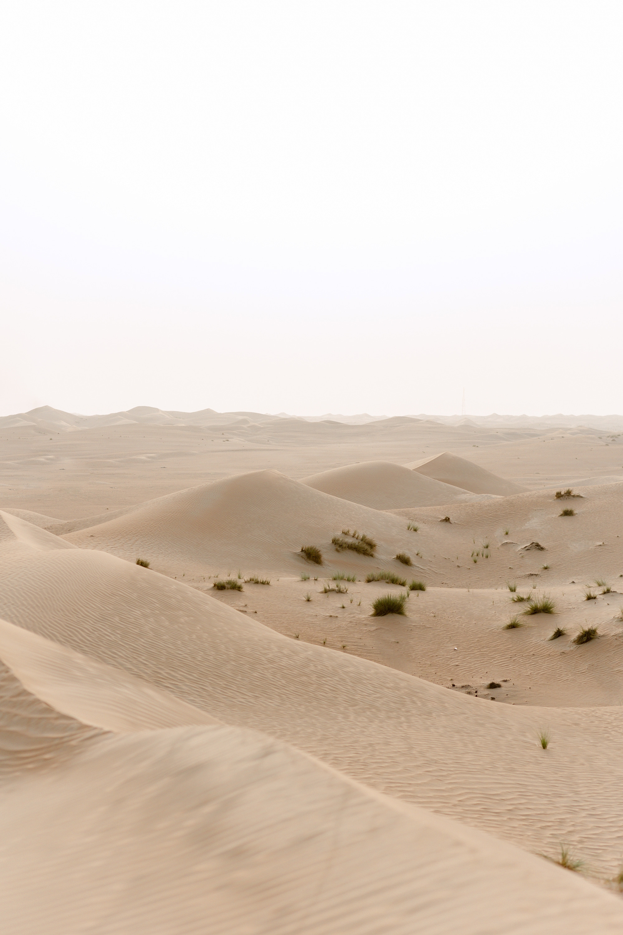 Marty & Kate Love Story. Антон Прокопенков Свадебный Фотограф +7(916) 013-35-12