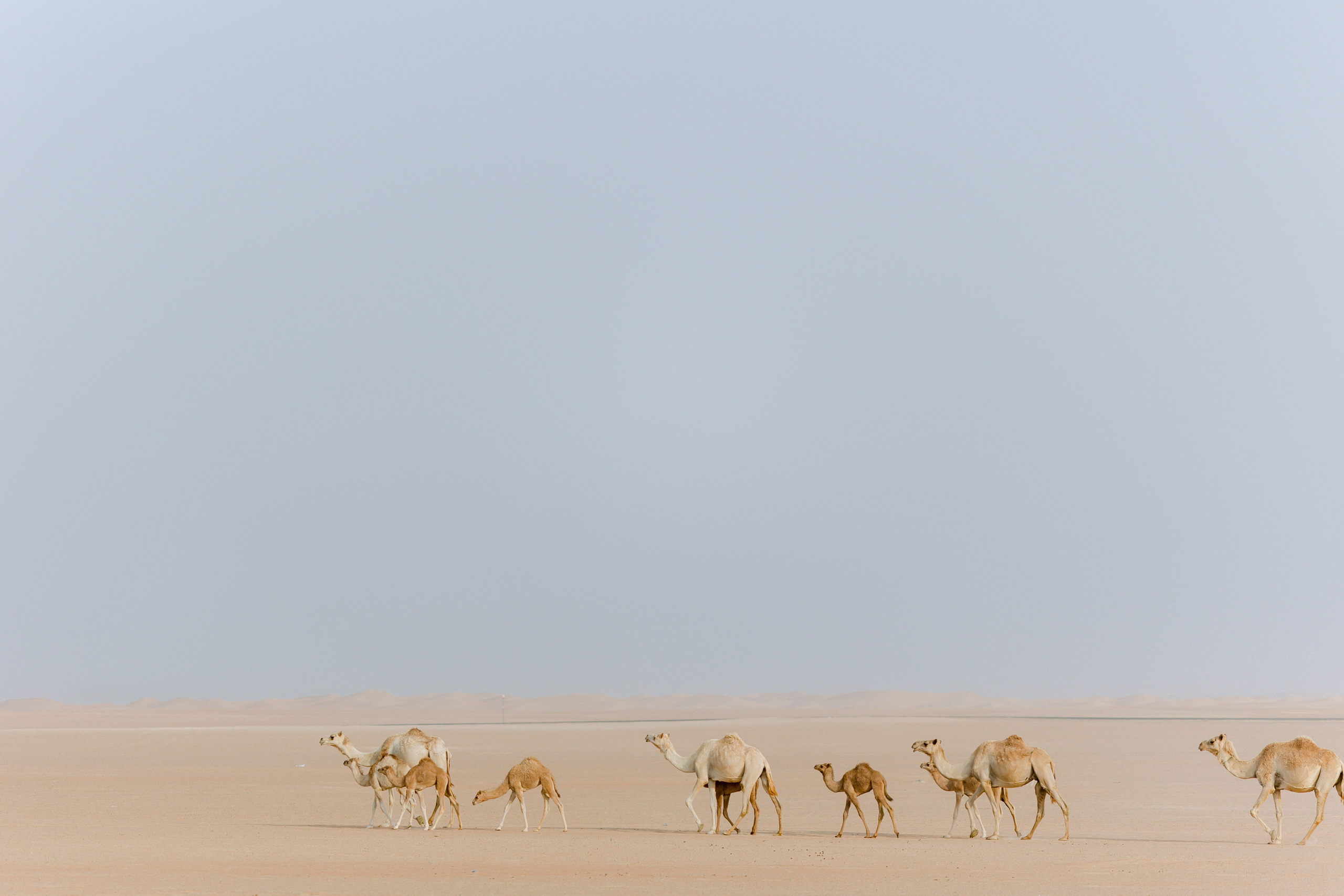 Marty & Kate Love Story. Антон Прокопенков Свадебный Фотограф +7(916) 013-35-12