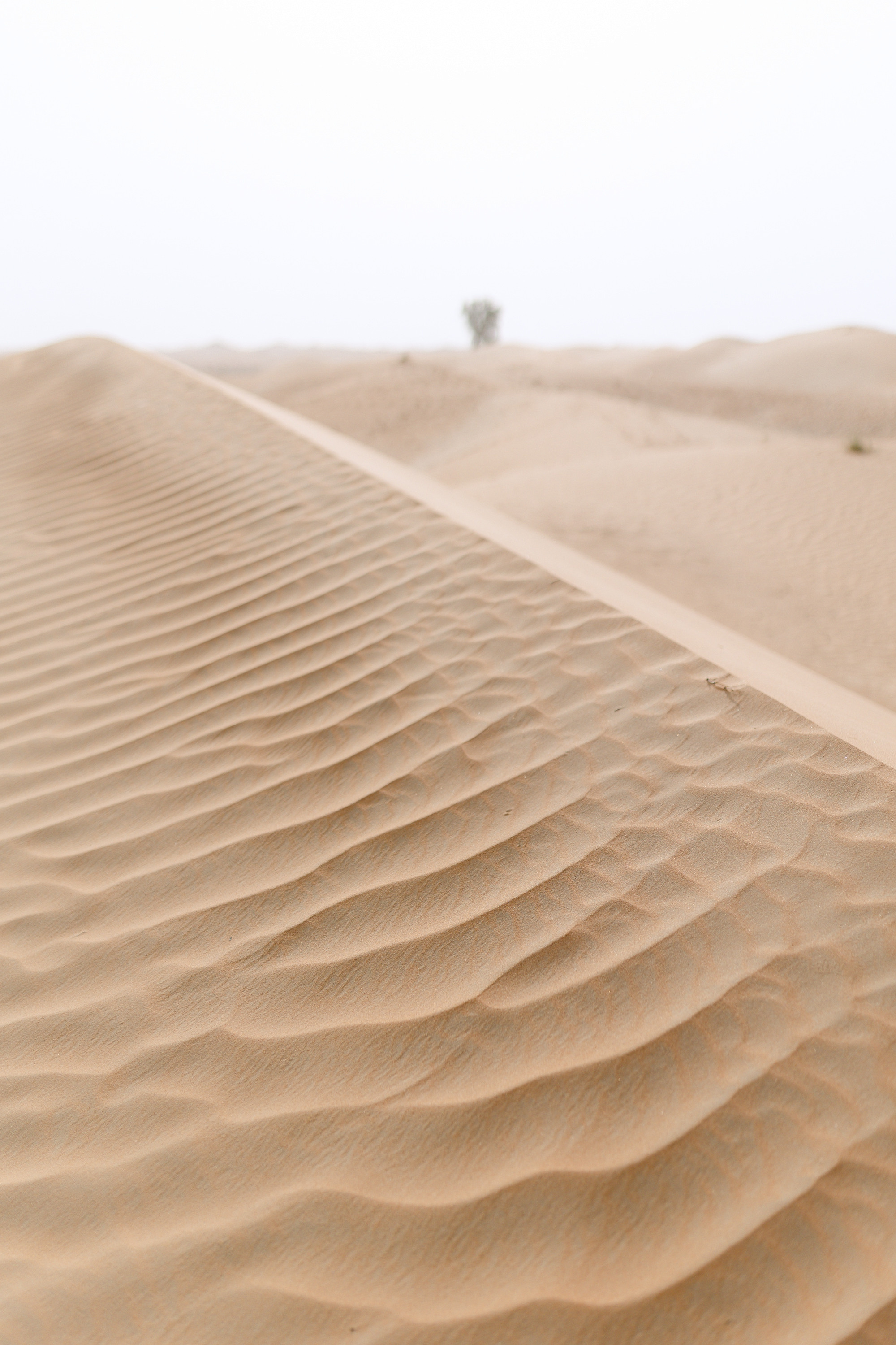 Marty & Kate Love Story. Антон Прокопенков Свадебный Фотограф +7(916) 013-35-12