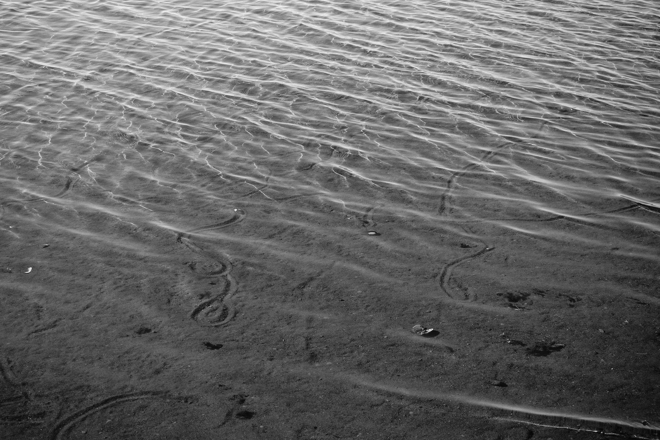 Reeds. Documentary and reportage photographer Dima Babkin