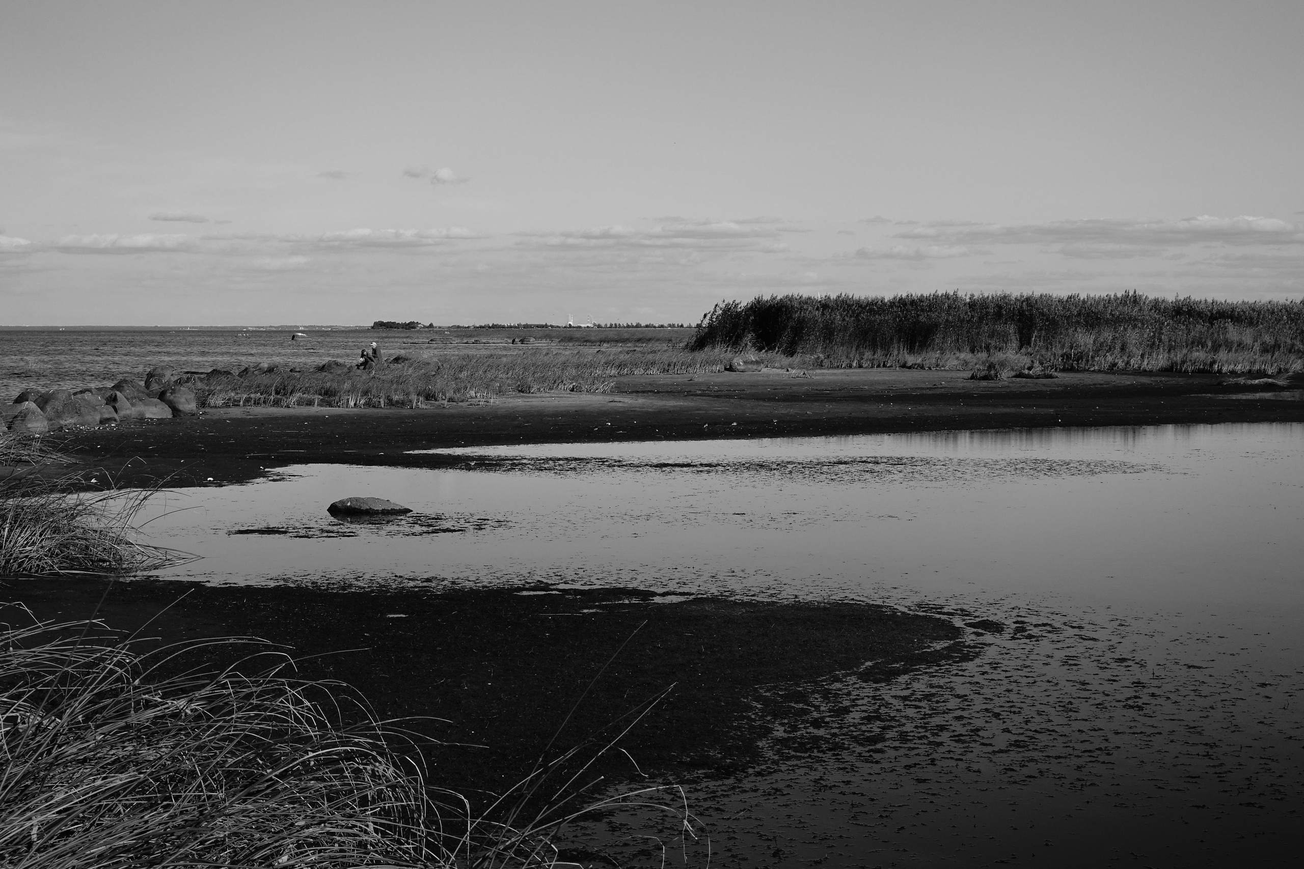 Reeds. Documentary and reportage photographer Dima Babkin