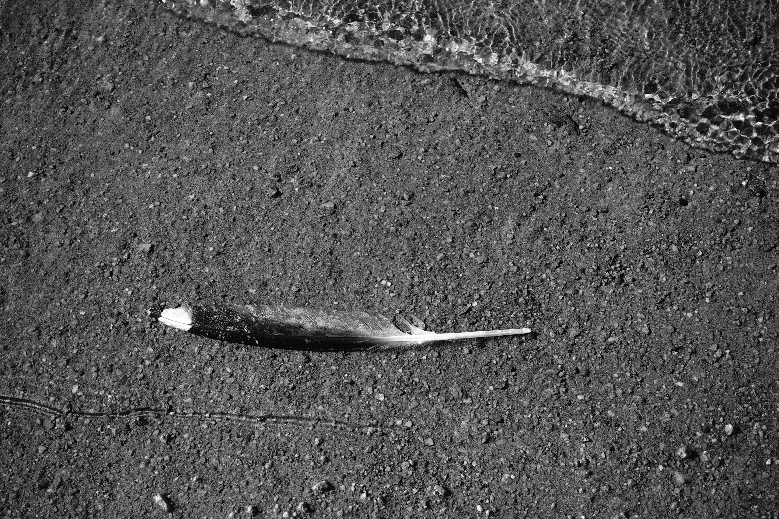 Reeds. Documentary and reportage photographer Dima Babkin