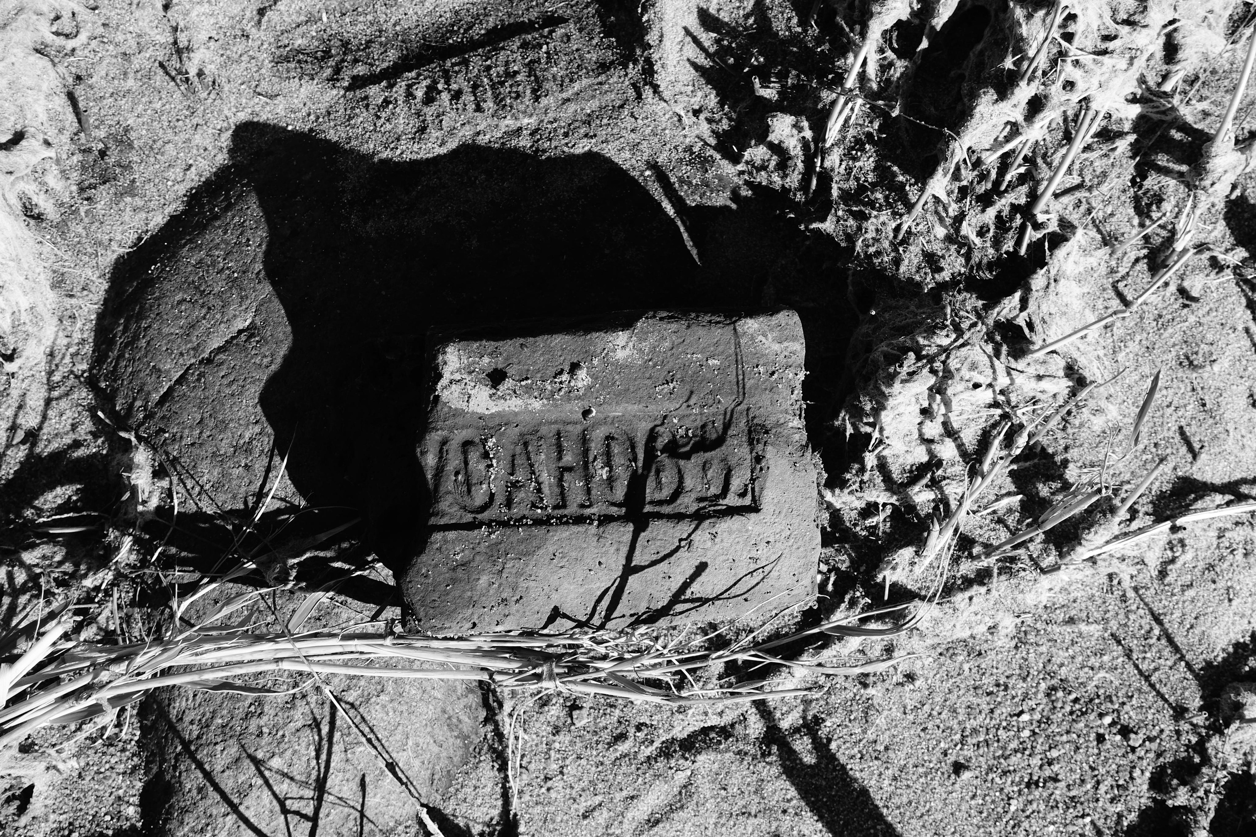 Reeds. Documentary and reportage photographer Dima Babkin