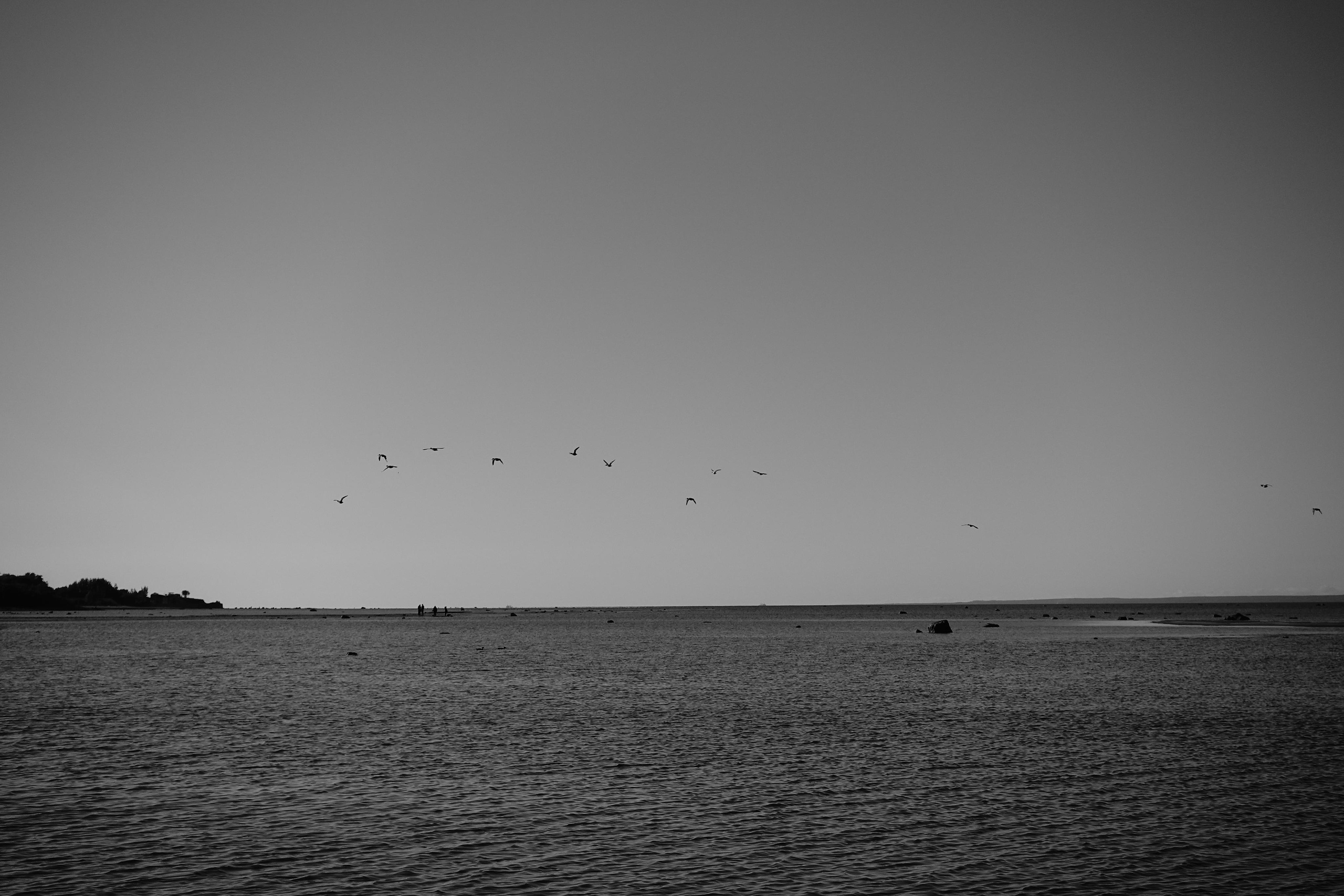 Reeds. Documentary and reportage photographer Dima Babkin