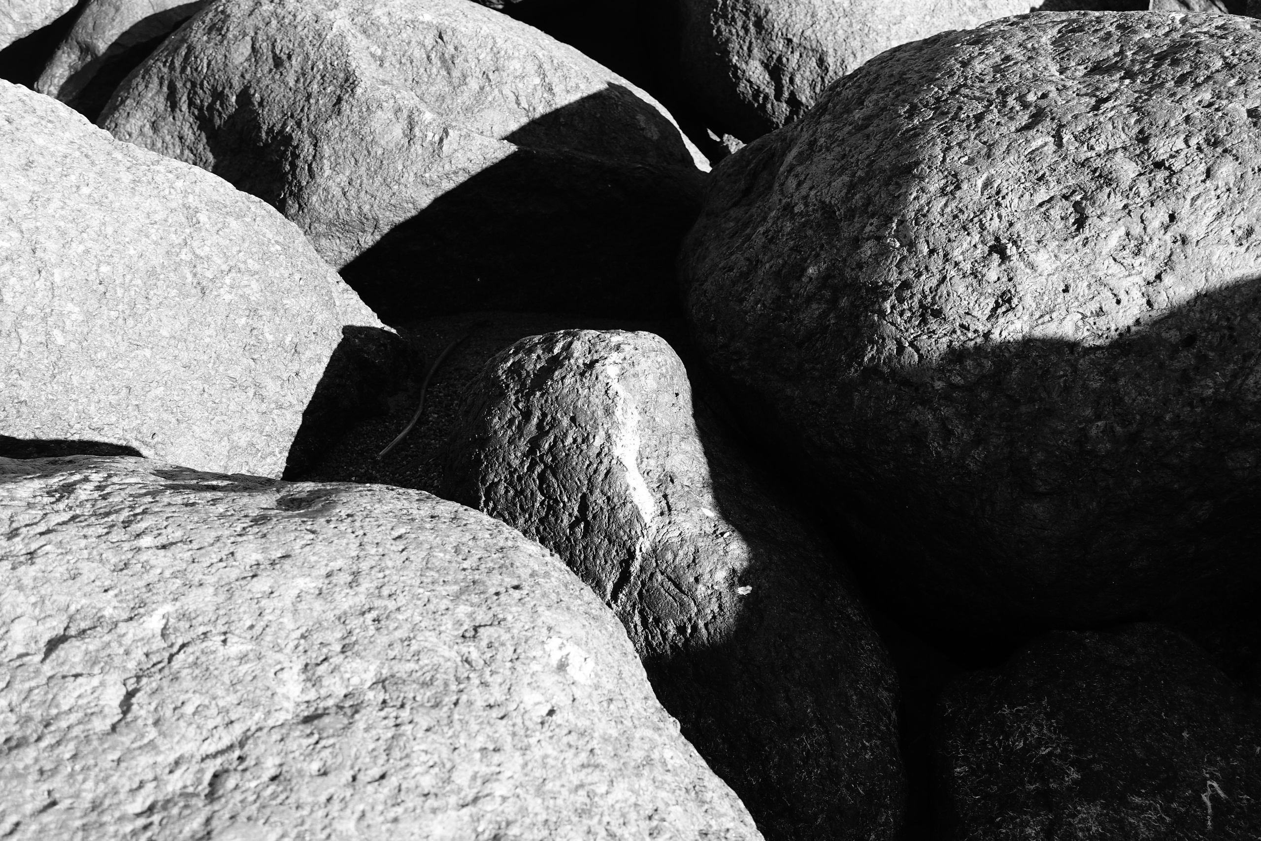 Reeds. Documentary and reportage photographer Dima Babkin