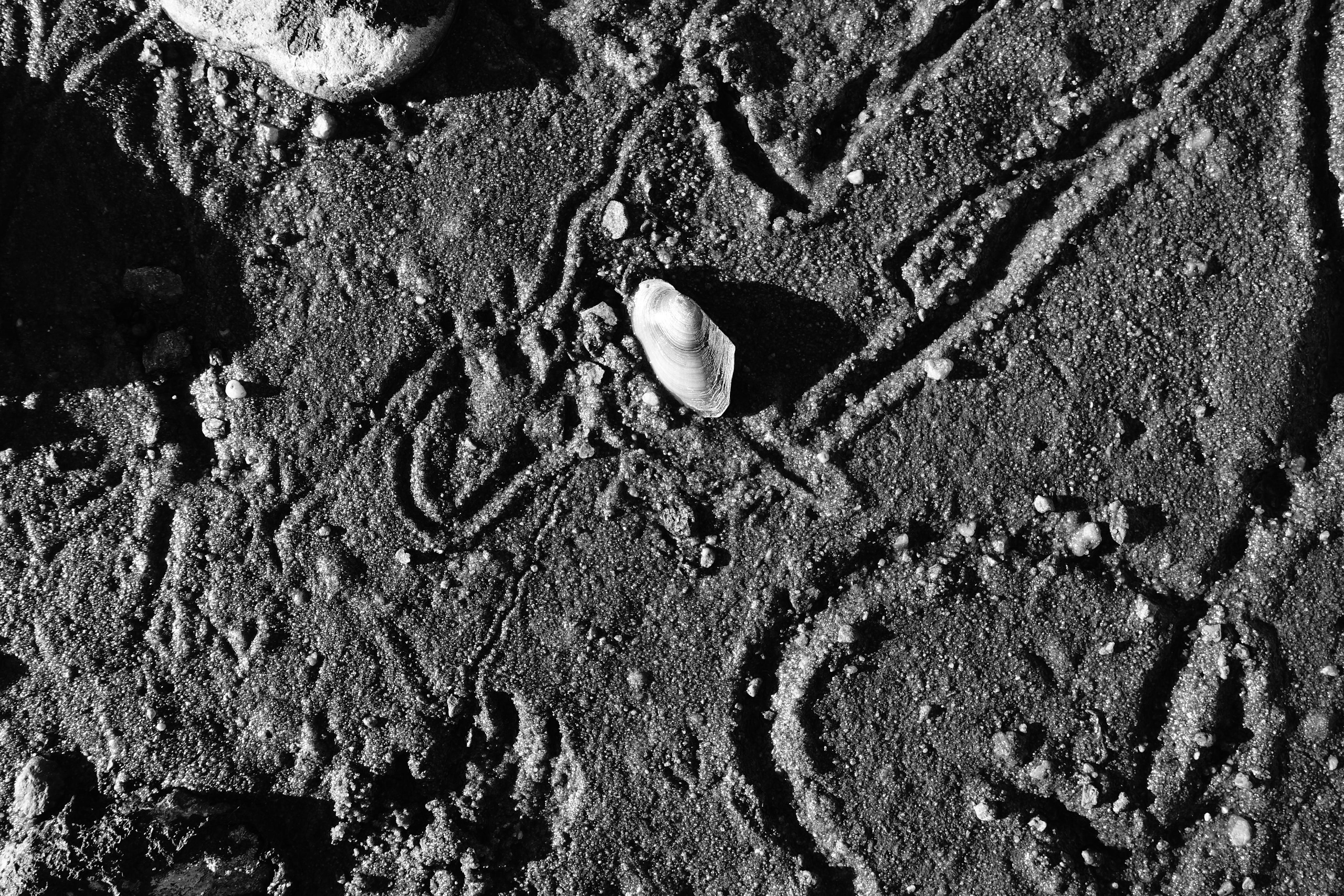 Reeds. Documentary and reportage photographer Dima Babkin