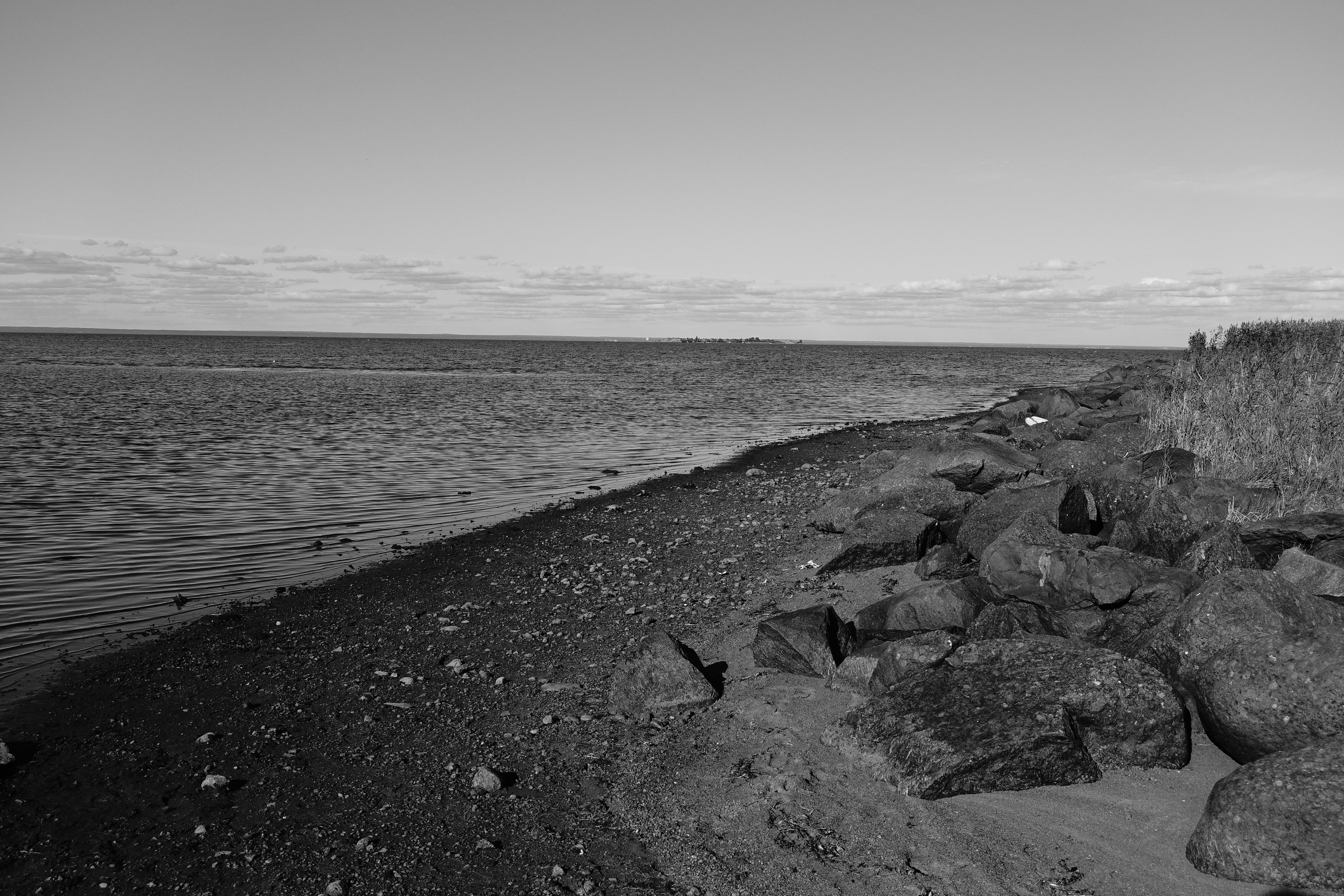 Reeds. Documentary and reportage photographer Dima Babkin