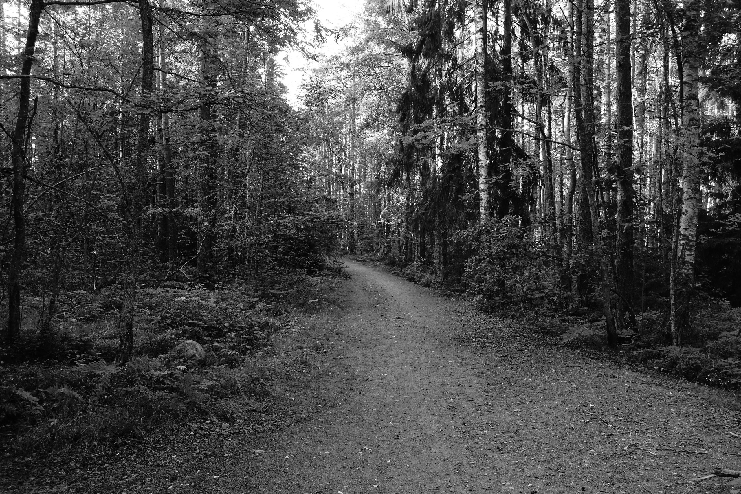 Childhood lake. Documentary and reportage photographer Dima Babkin