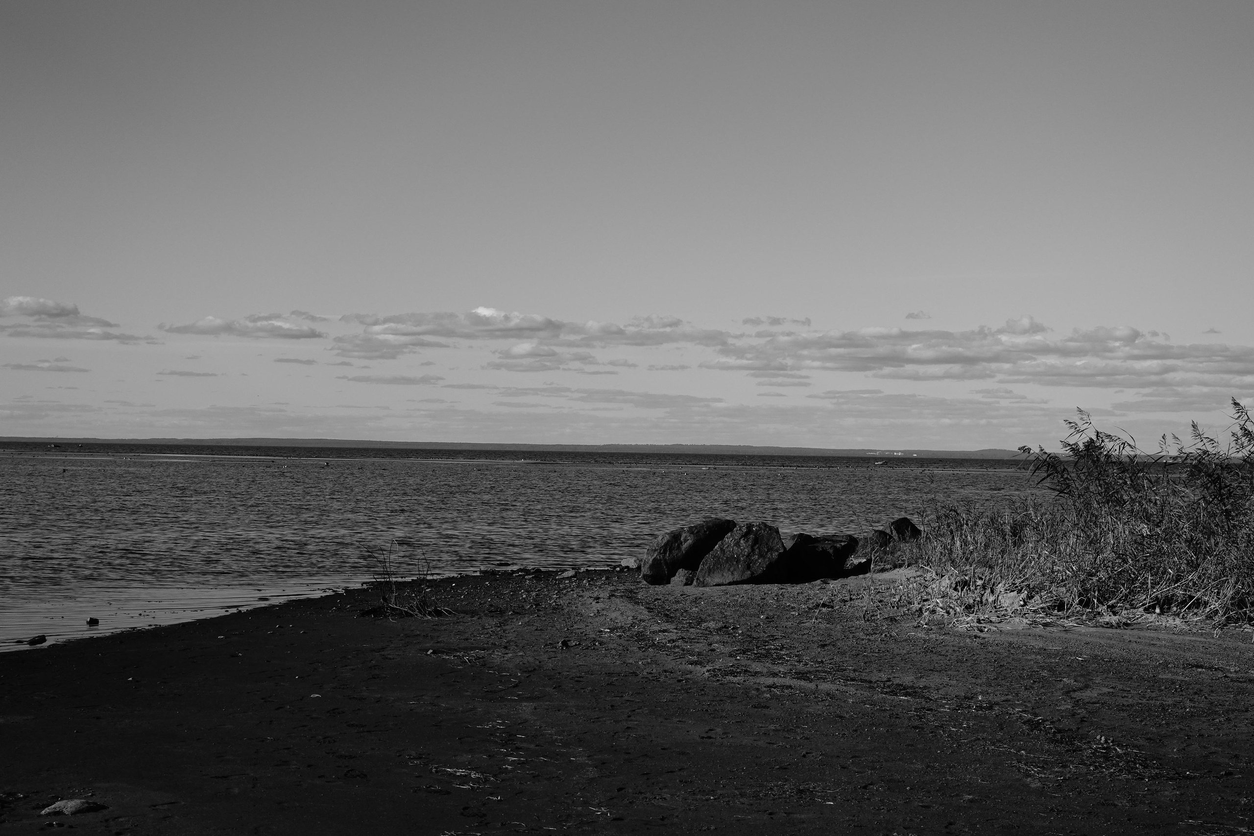 Reeds. Documentary and reportage photographer Dima Babkin