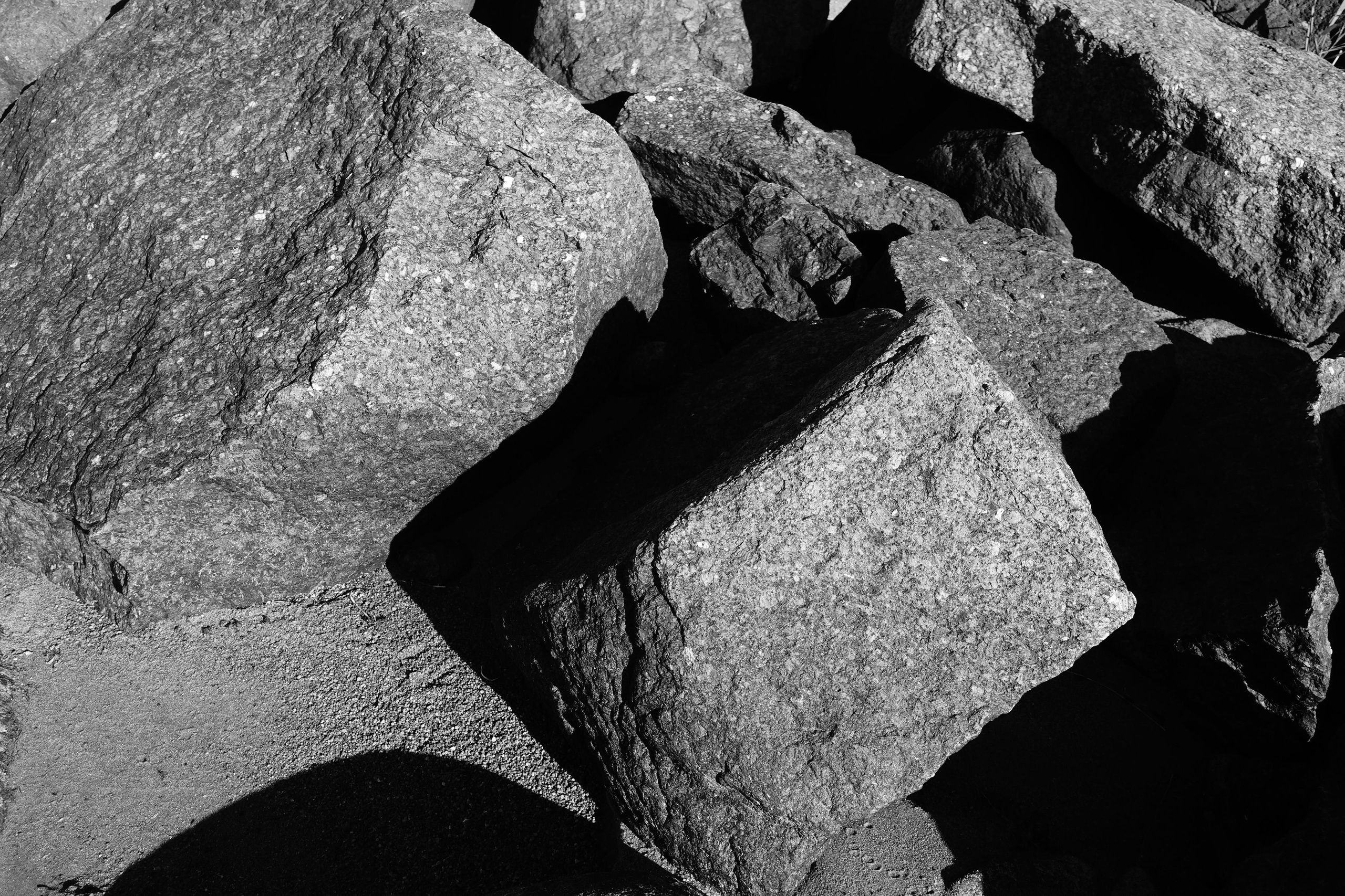 Reeds. Documentary and reportage photographer Dima Babkin