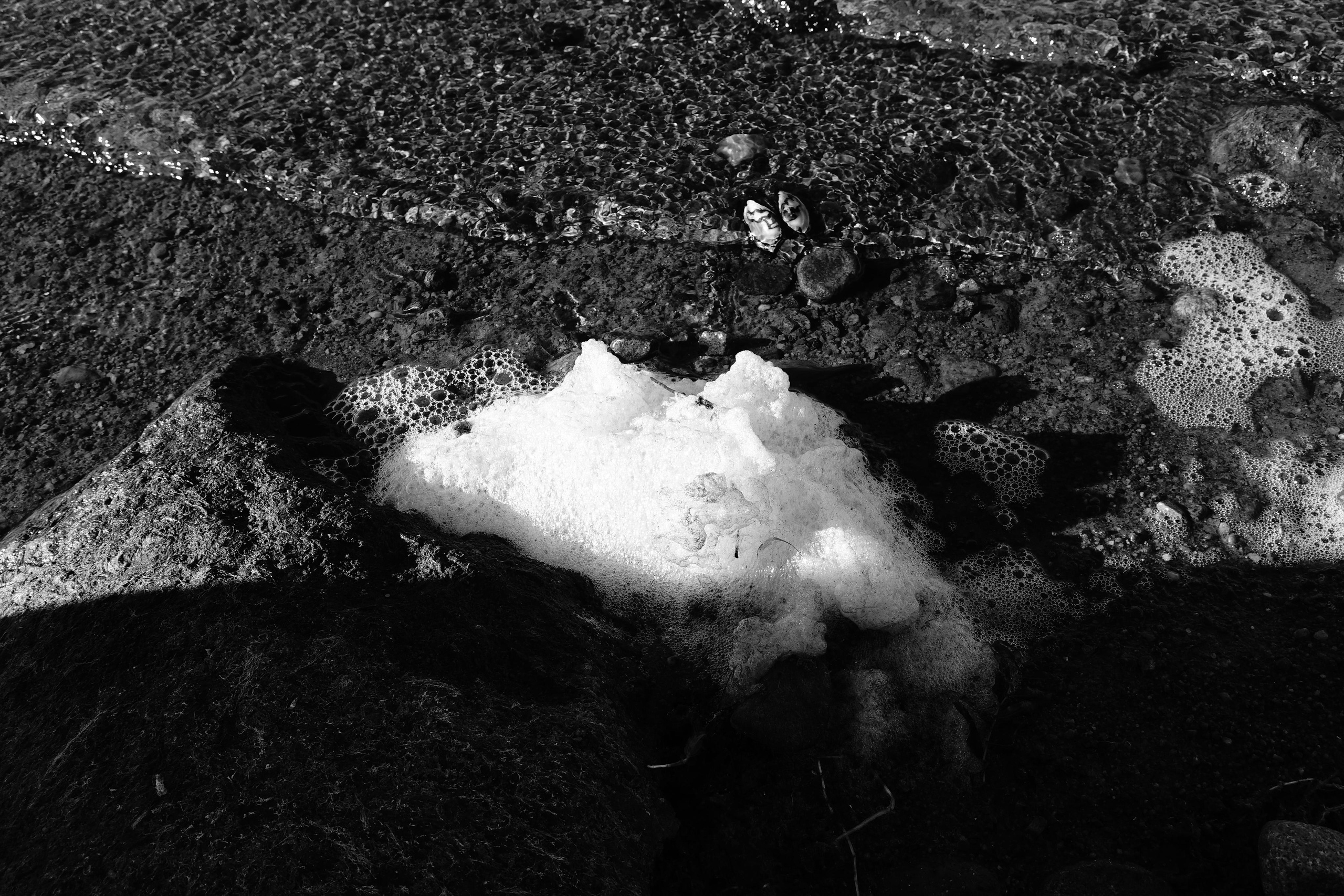 Reeds. Documentary and reportage photographer Dima Babkin