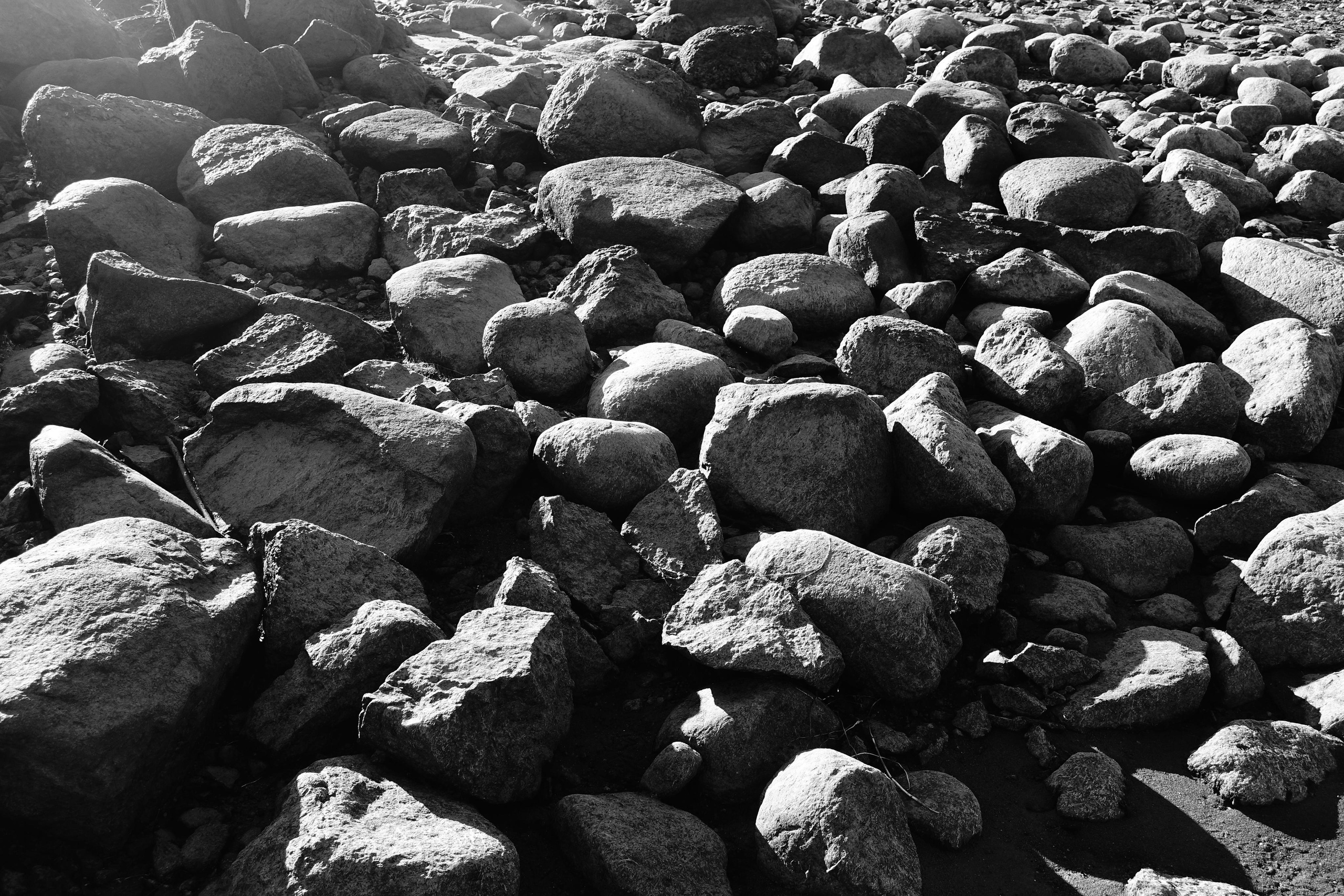 Reeds. Documentary and reportage photographer Dima Babkin