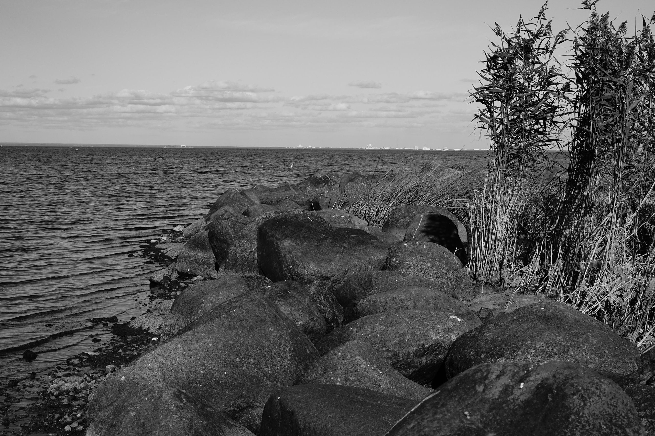 Reeds. Documentary and reportage photographer Dima Babkin