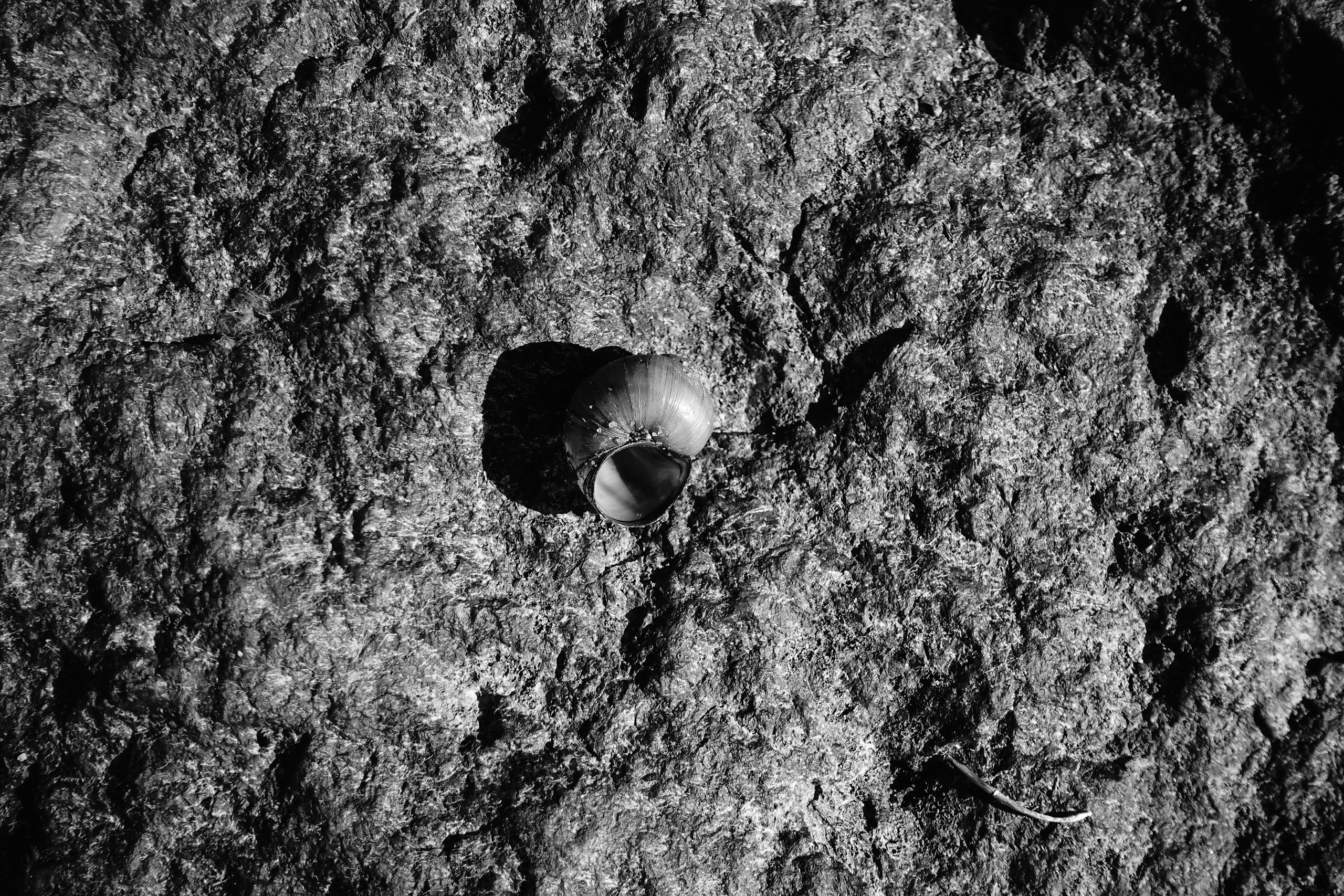 Reeds. Documentary and reportage photographer Dima Babkin