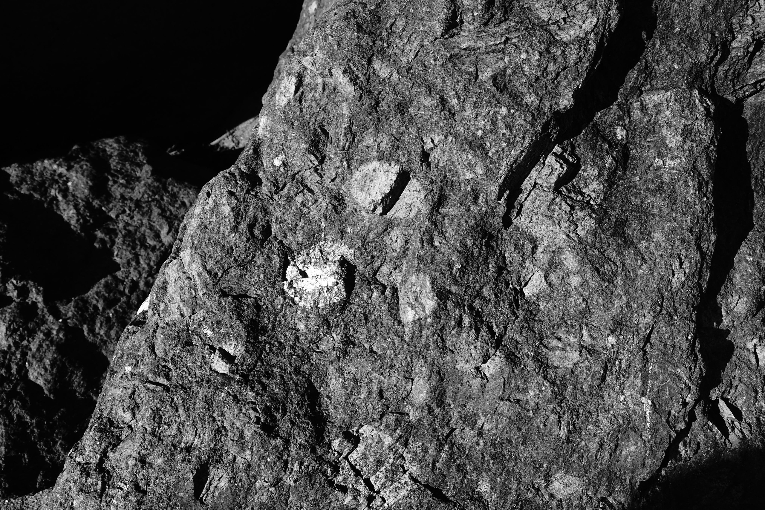 Reeds. Documentary and reportage photographer Dima Babkin