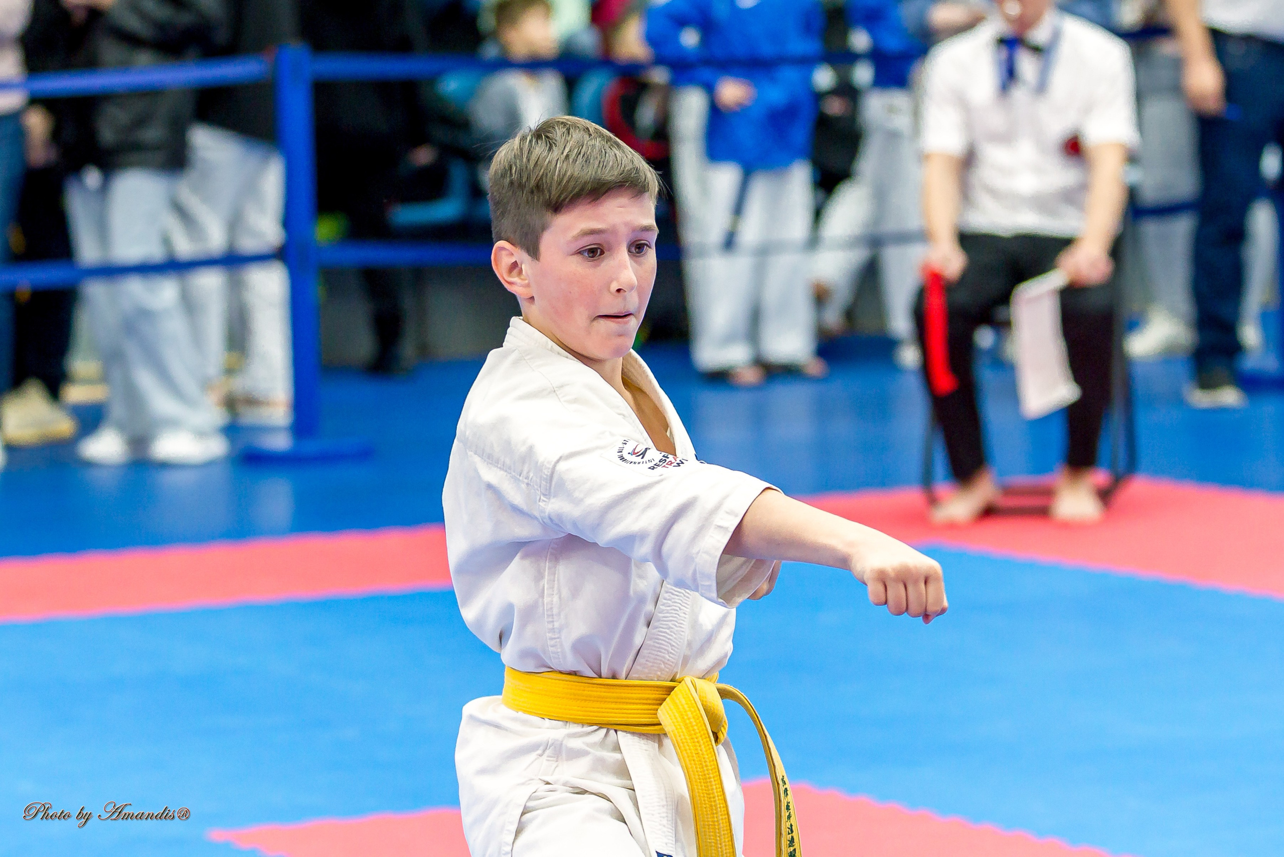 Чемпионат по Киокушинкай Центрального Федерального округа. Репортажная съемка в Москве и области. Анималистика