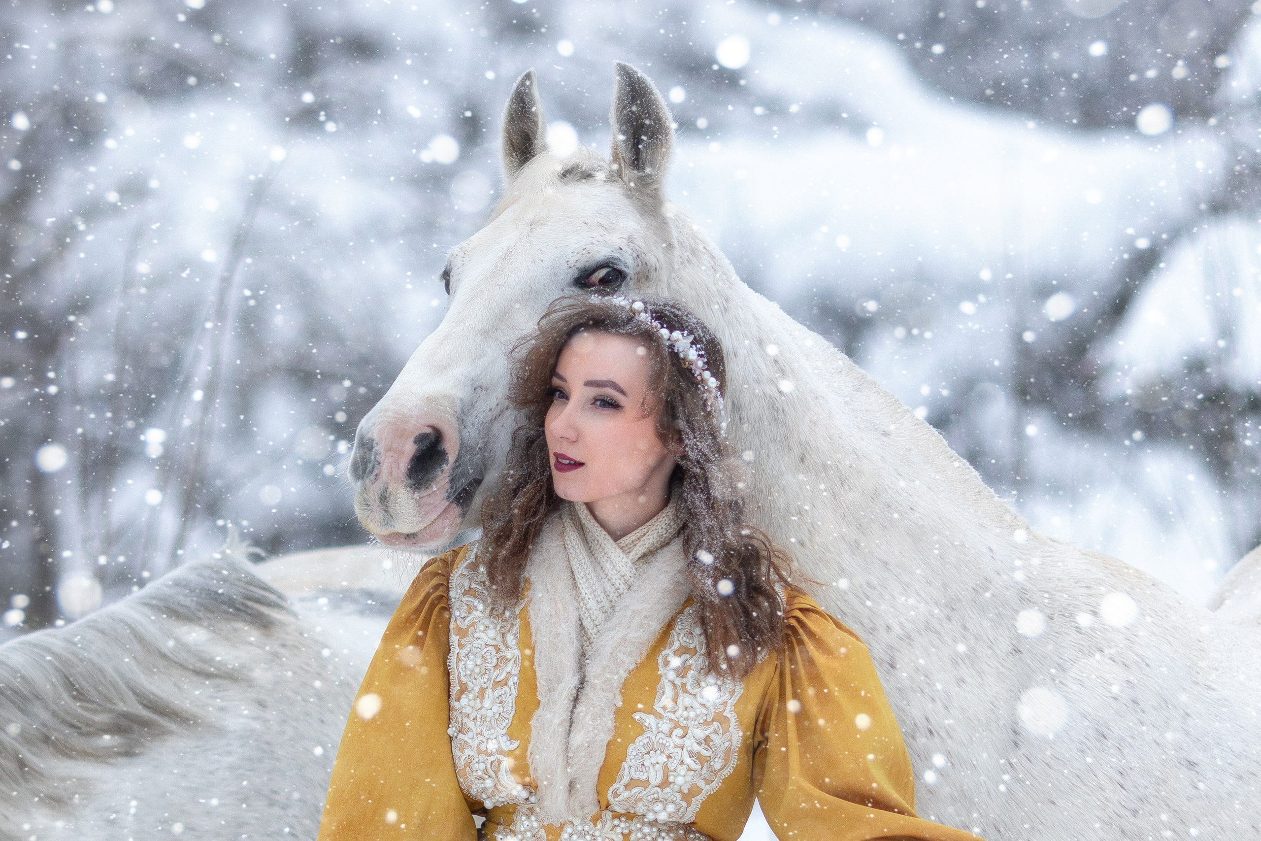Фотосессия с лошадью зимой. Фотосессии с лошадьми в Москве от фотографа Кутейниковой Светланы