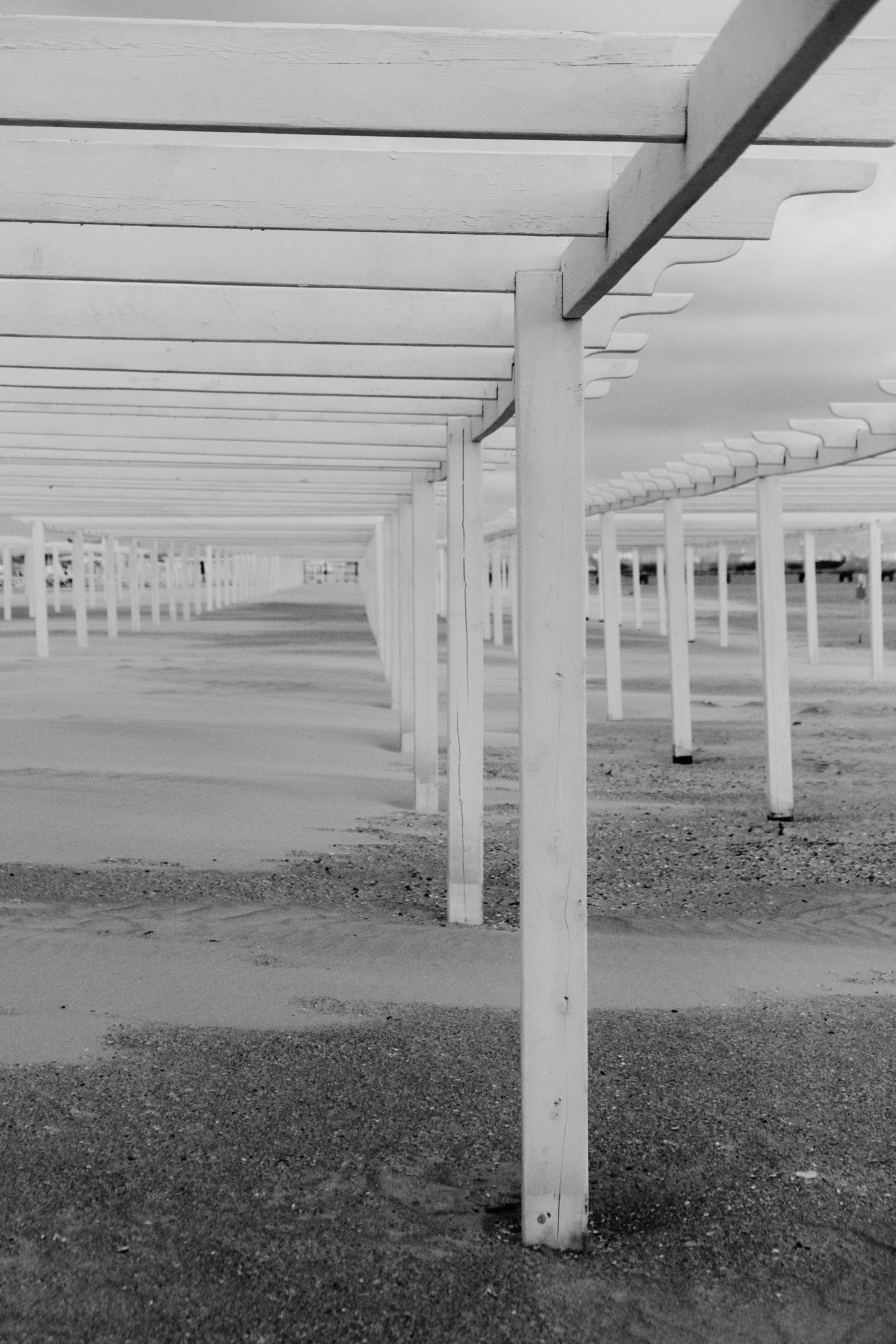 Проекты. Фотограф в Ростове-на-Дону