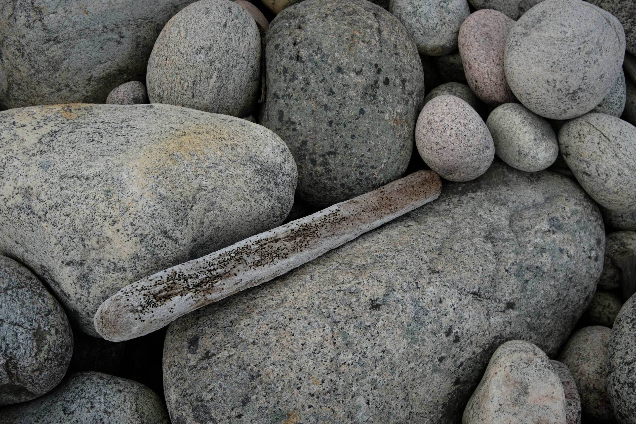 Путешествие в Териберку. Елена Павленко. Фотограф. Москва