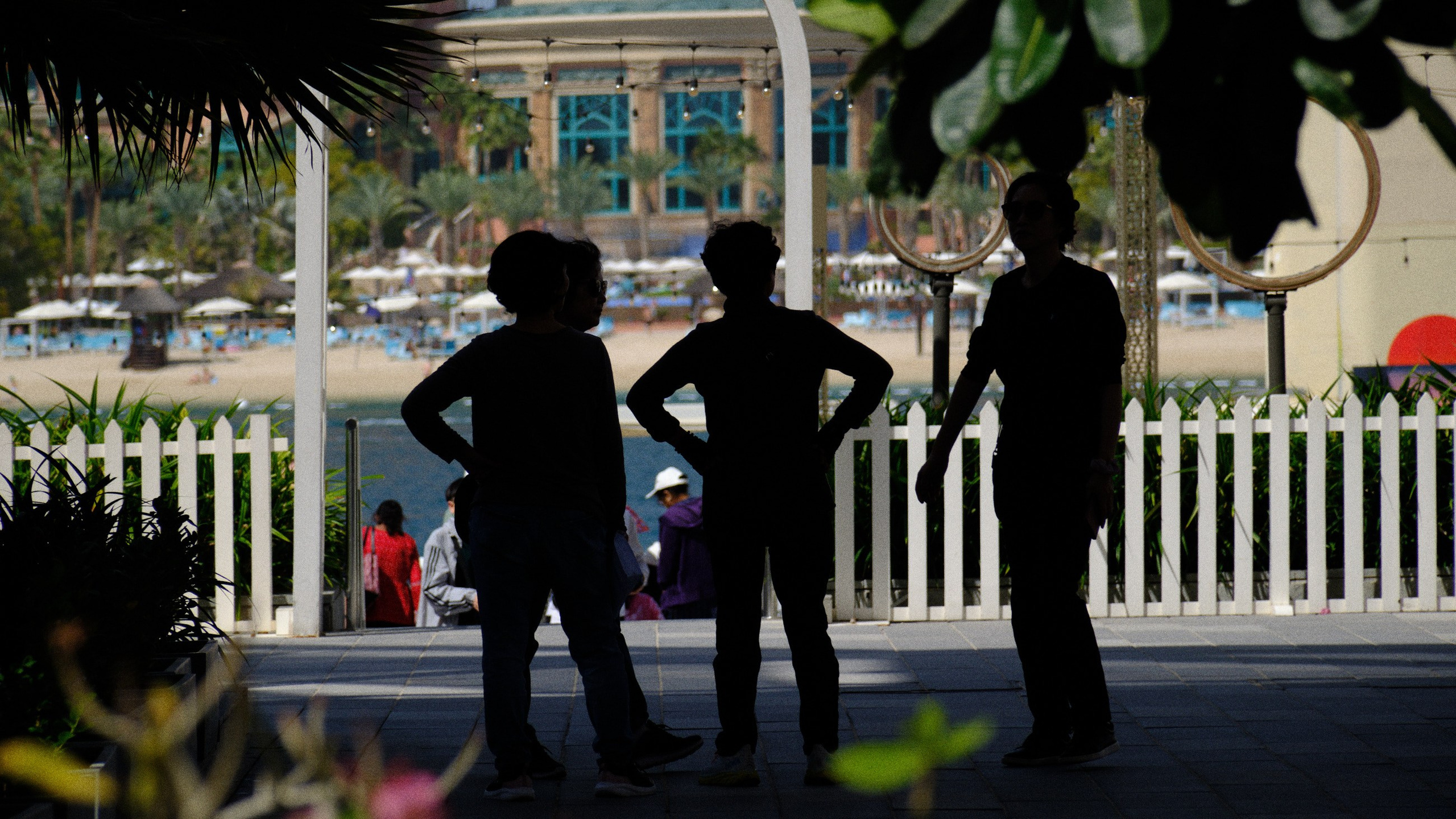 Оман. ОАЭ. Катар. Бахрейн. Юрий Березнюк. Фотожурналистика