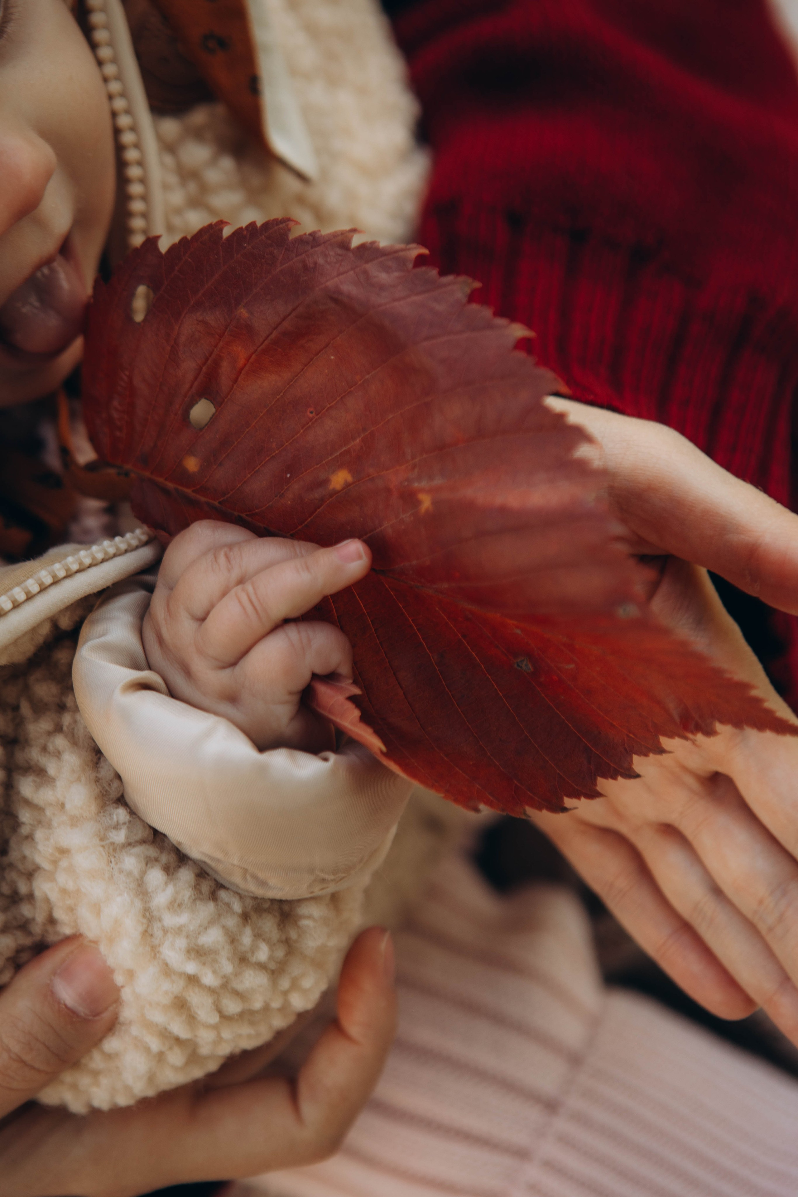 Осенняя. Наталья Косьянова. Ваш фотограф. Москва