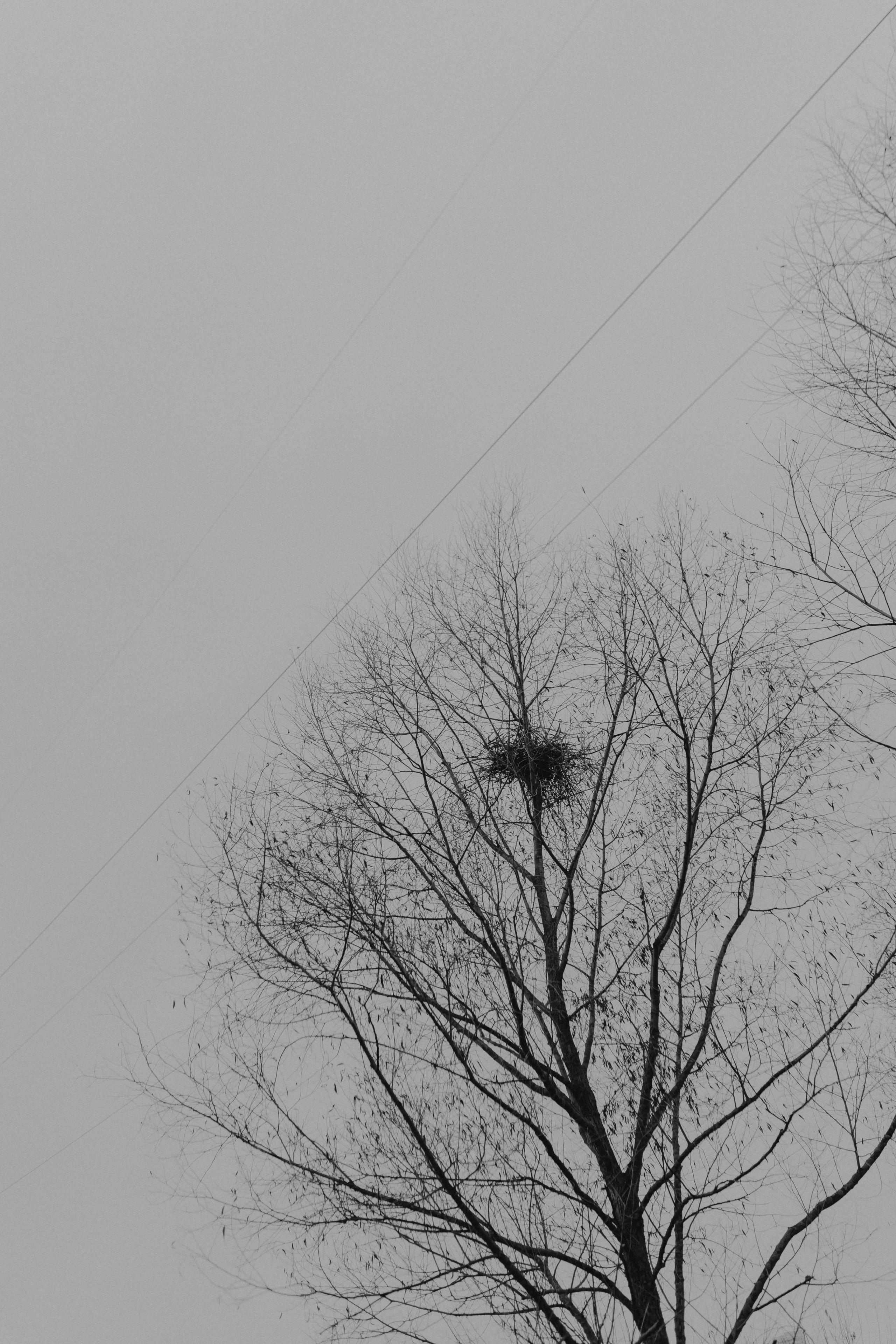 Диана и Антон. Свадебный и семейный фотограф Женя Добрянская в Нижнем Новгороде