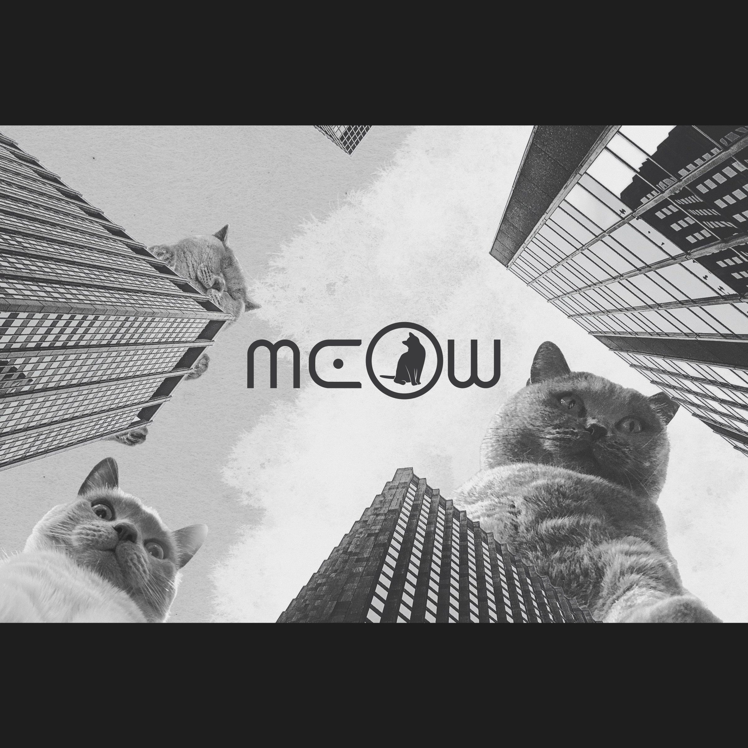 Portfolio. Web design and printing in Moscow
