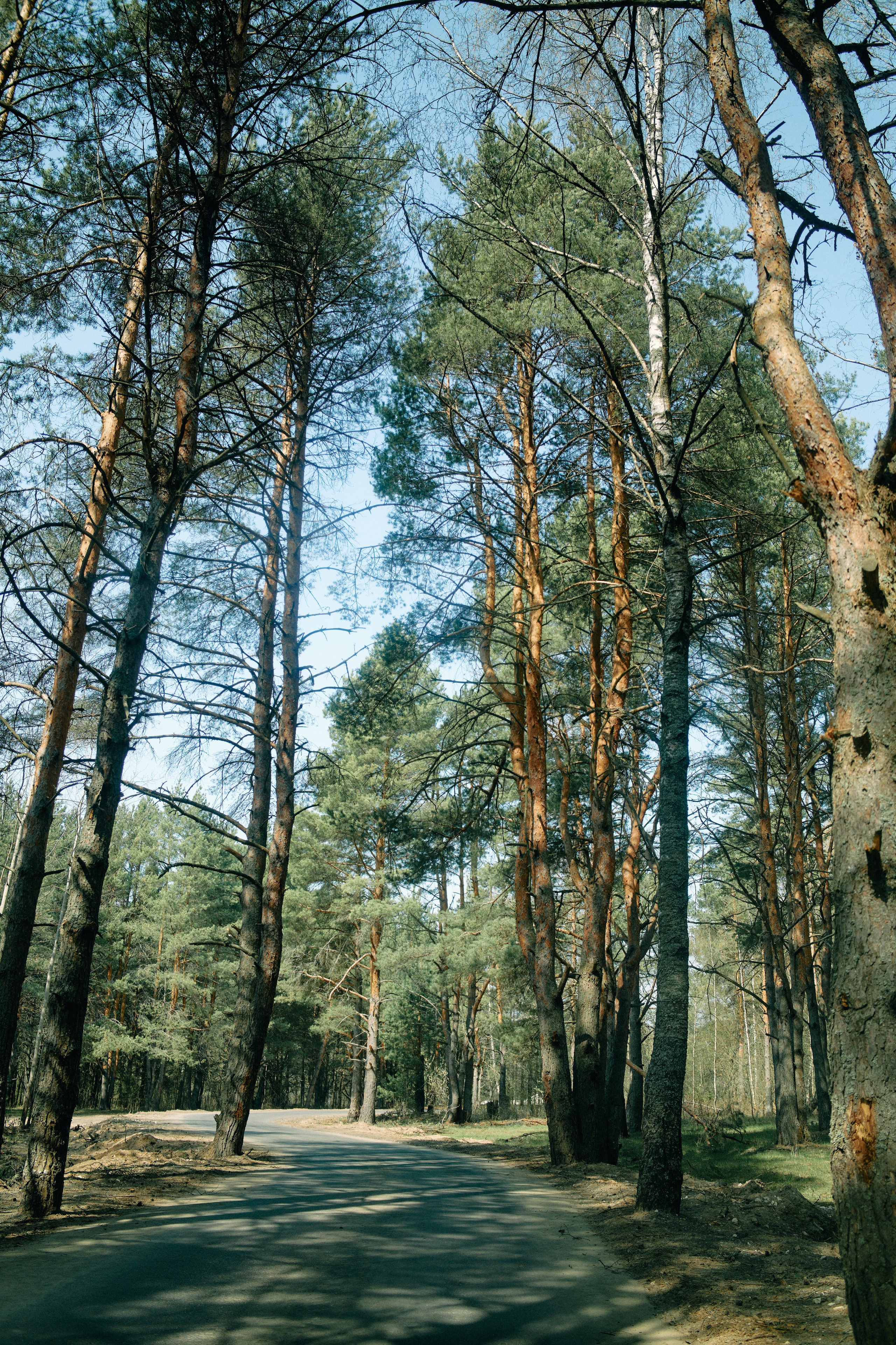 Бутик-отель Поле летом. Профессиональный Фотограф во Владимире, в Москве и в Суздале — Полина Романычева