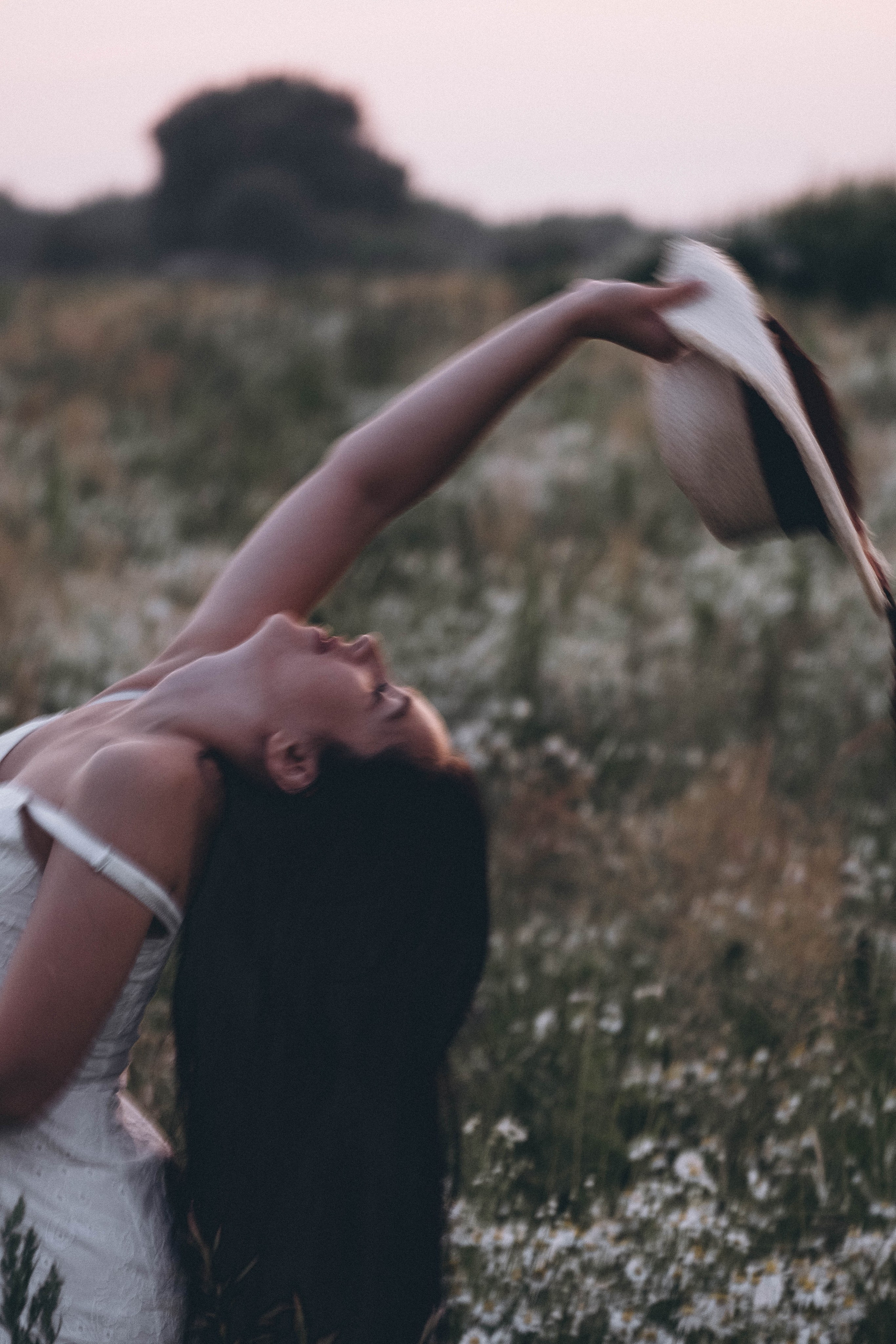 Ромашковое поле. Профессиональный фотограф, Санкт-Петербург — Виктория Богомолова