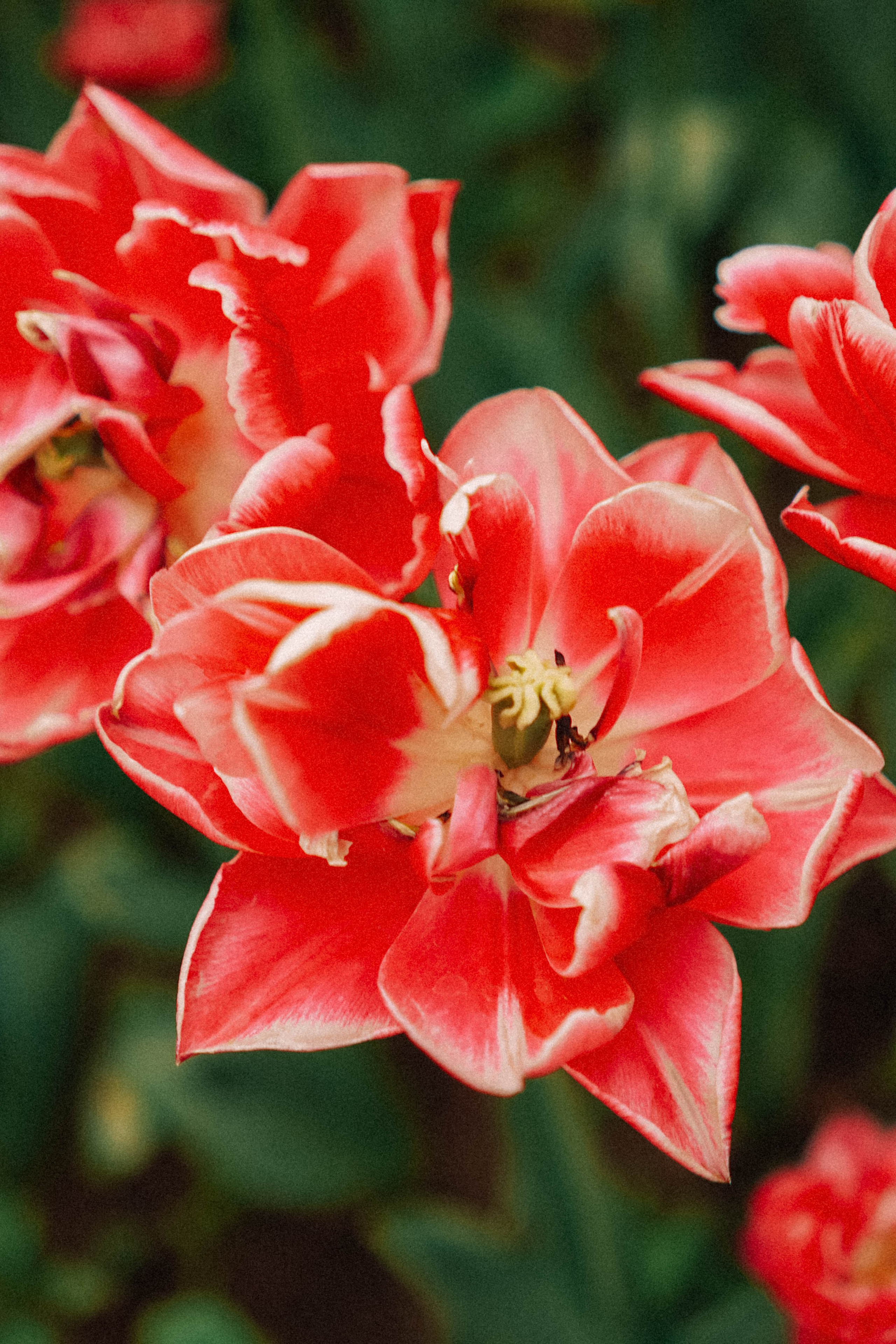КИСЛОВОДСК. Профессиональный фотограф, Санкт-Петербург — Виктория Богомолова