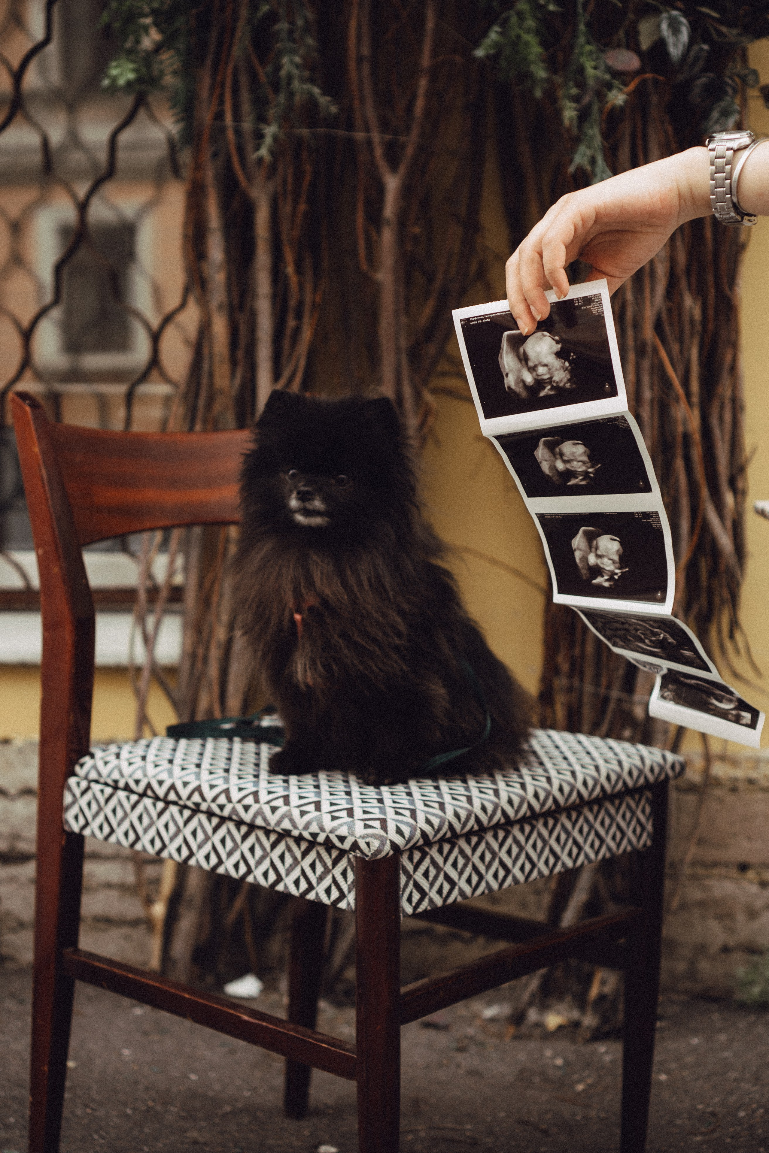 Беременность (только часть фото по желанию клиентов могу показать)). Профессиональный фотограф, Санкт-Петербург — Виктория Богомолова