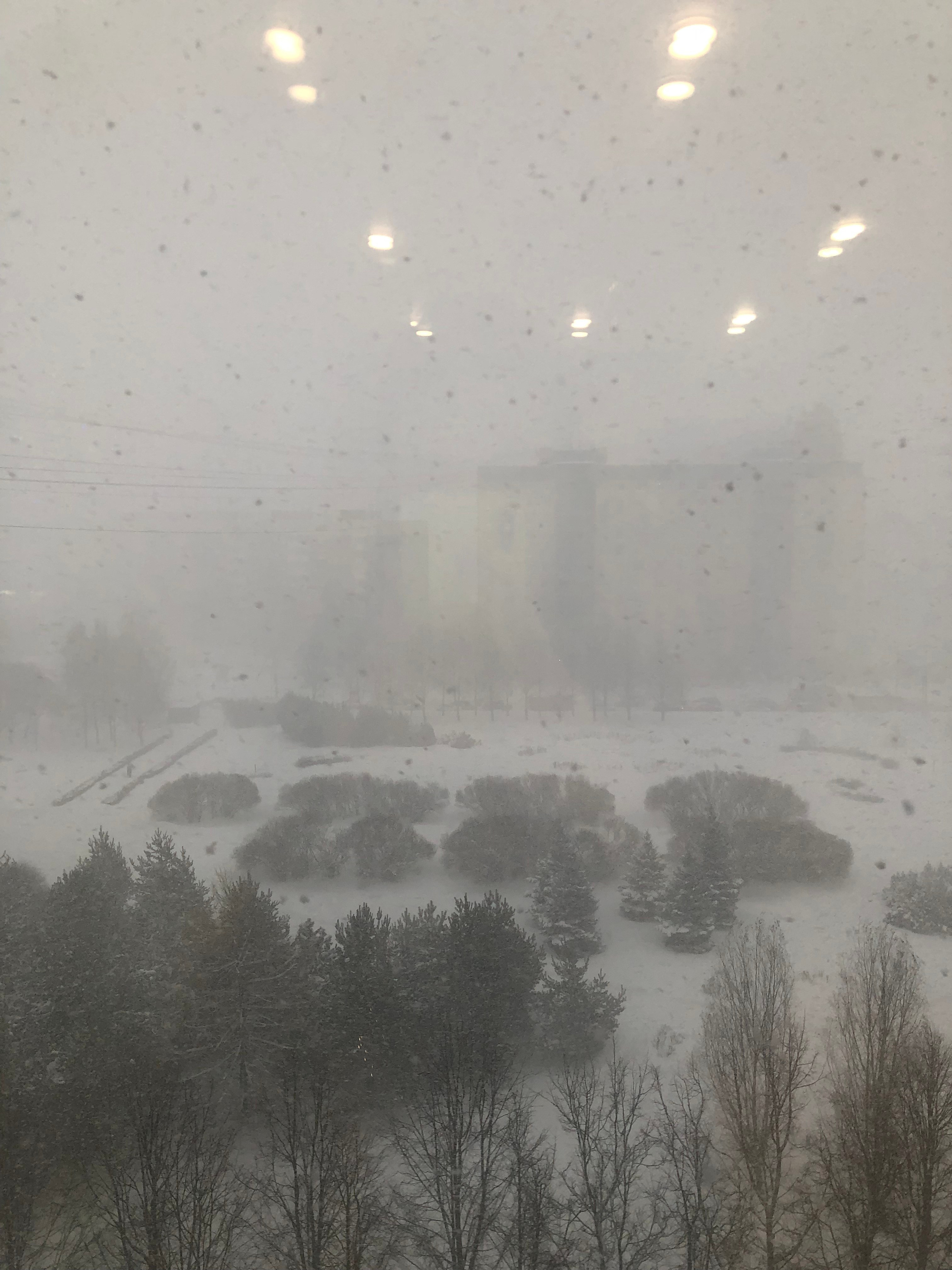 Январь. Семейный, Свадебный фотограф СПБ Питер— Романова Екатерина