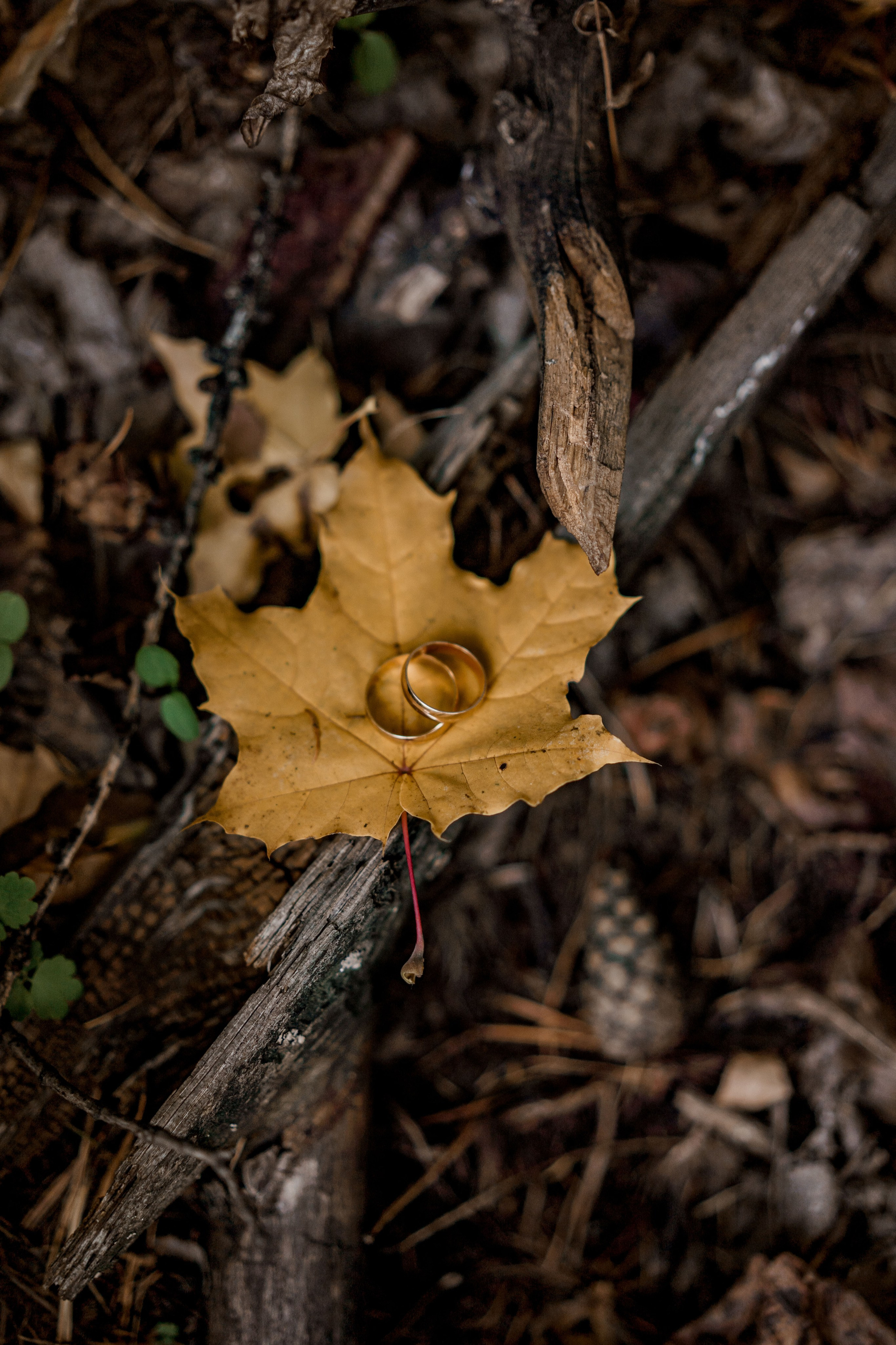 Максим и Анна. Свадебный фотограф Уфа Стерлитамак Сергей Петовраджи