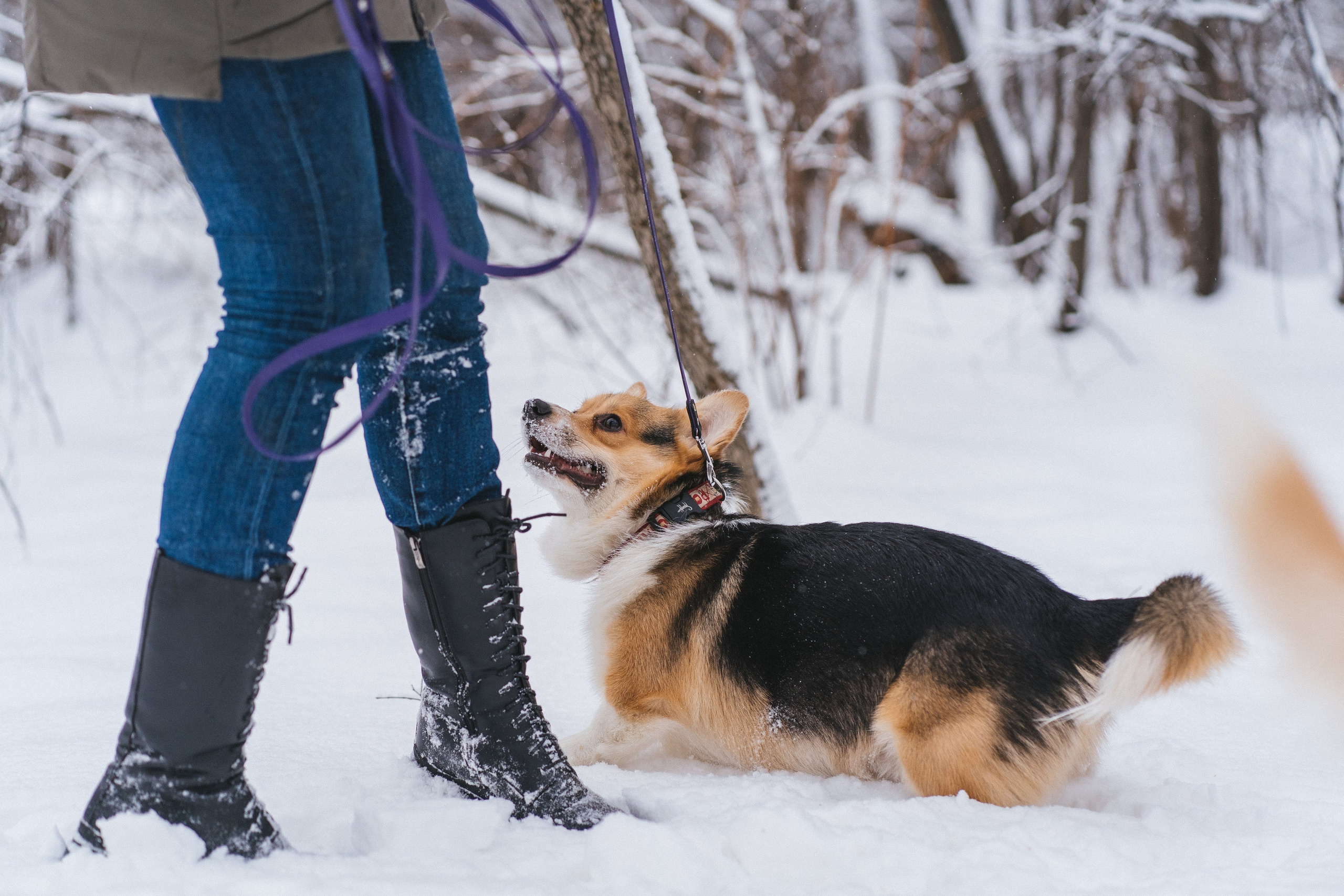 Каспер и Полина. Свадебный фотограф в Москве Анна Полушина