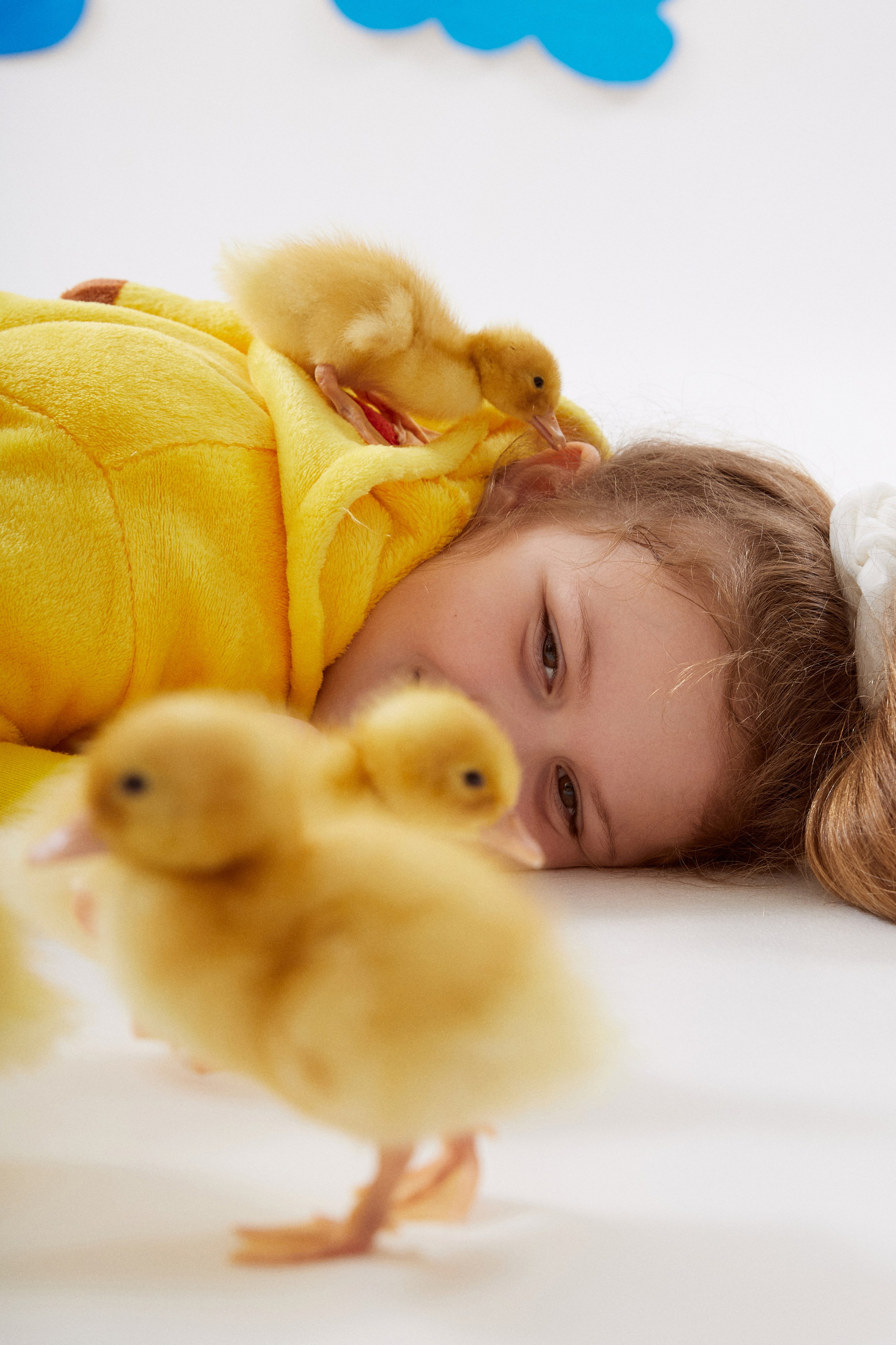 Фотодень с утятами. Фотограф