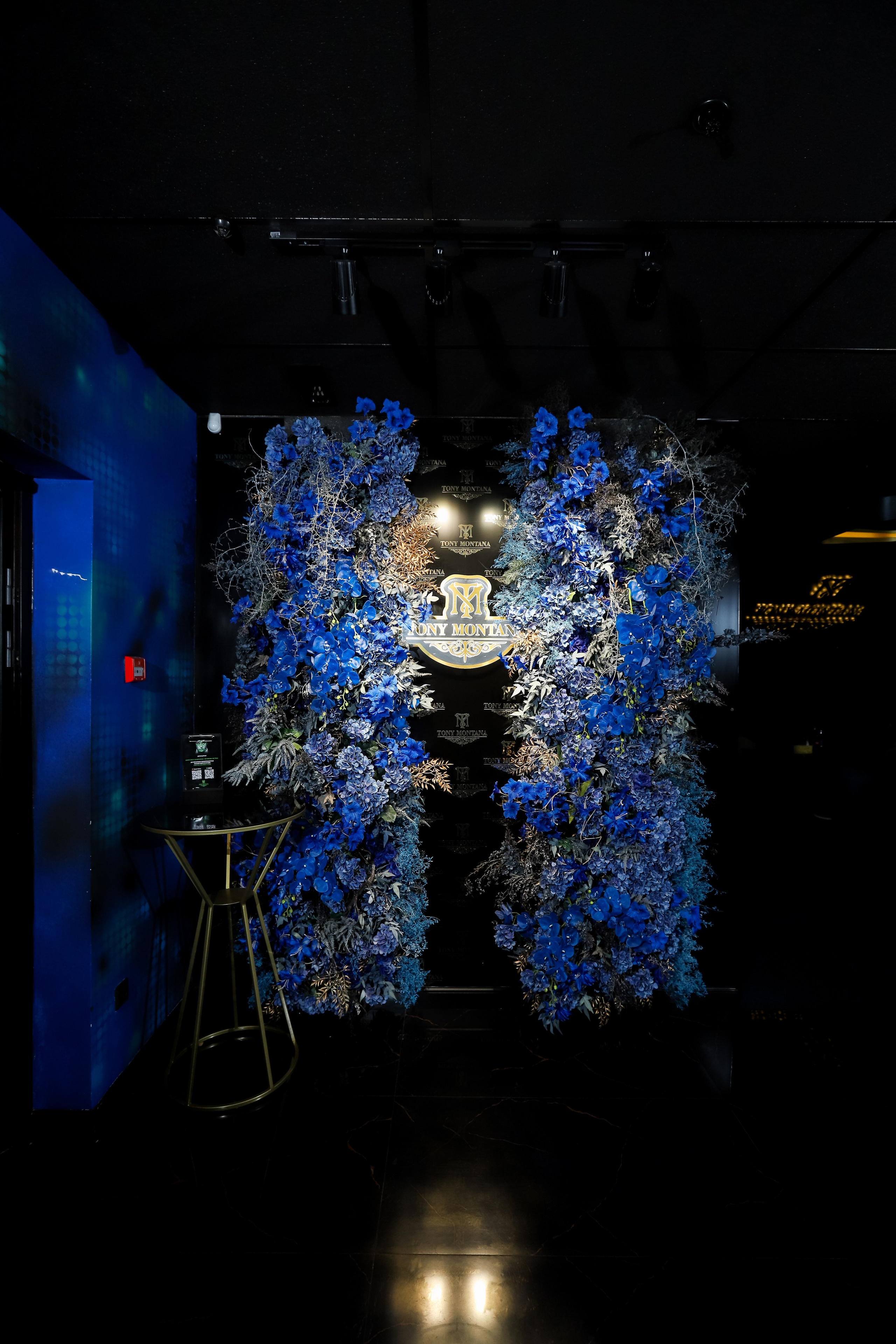 Tony Montana. Фотограф в Краснодаре Анна Светикова