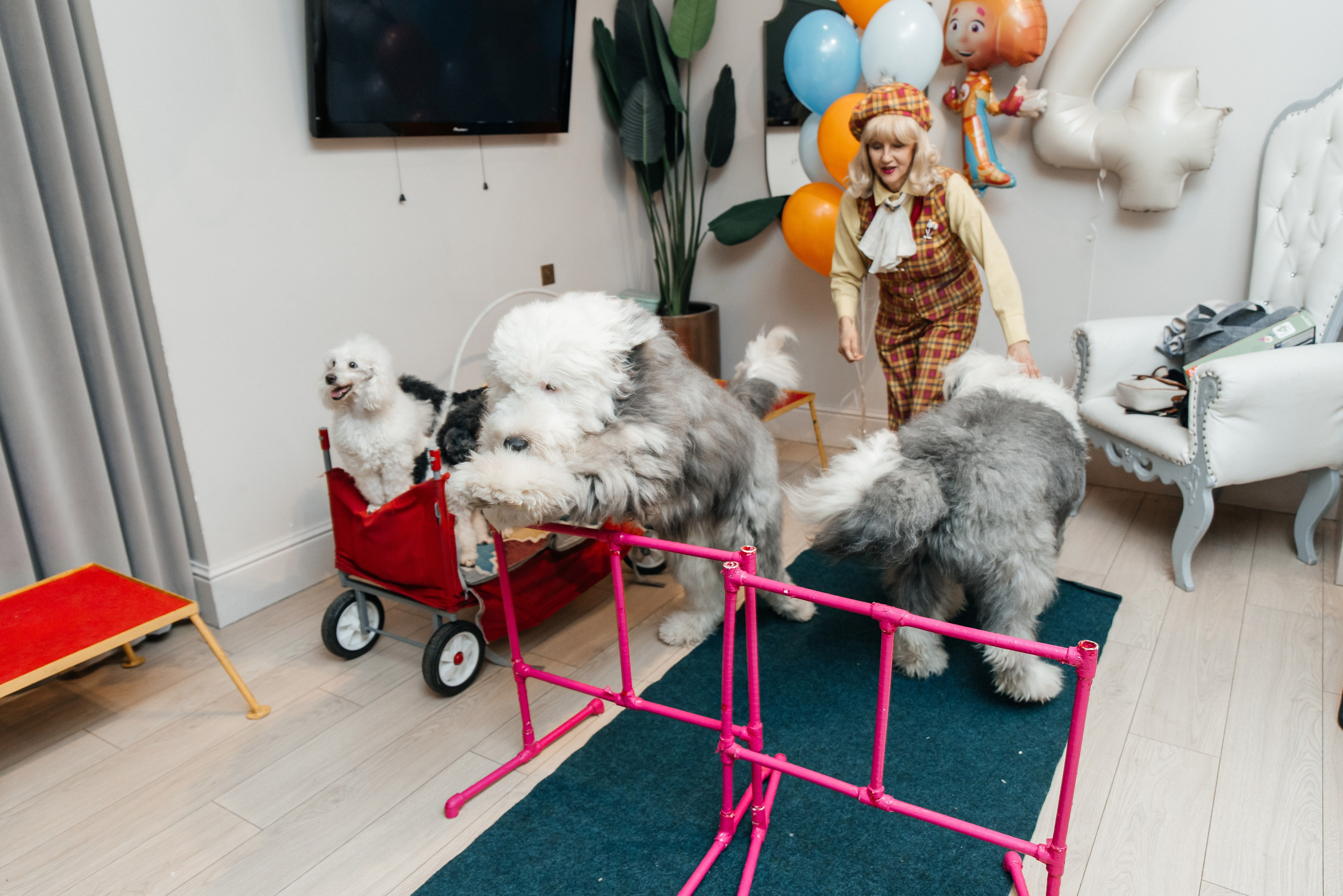 Даниил 4 года. Фотограф Москва Шептаев Артём