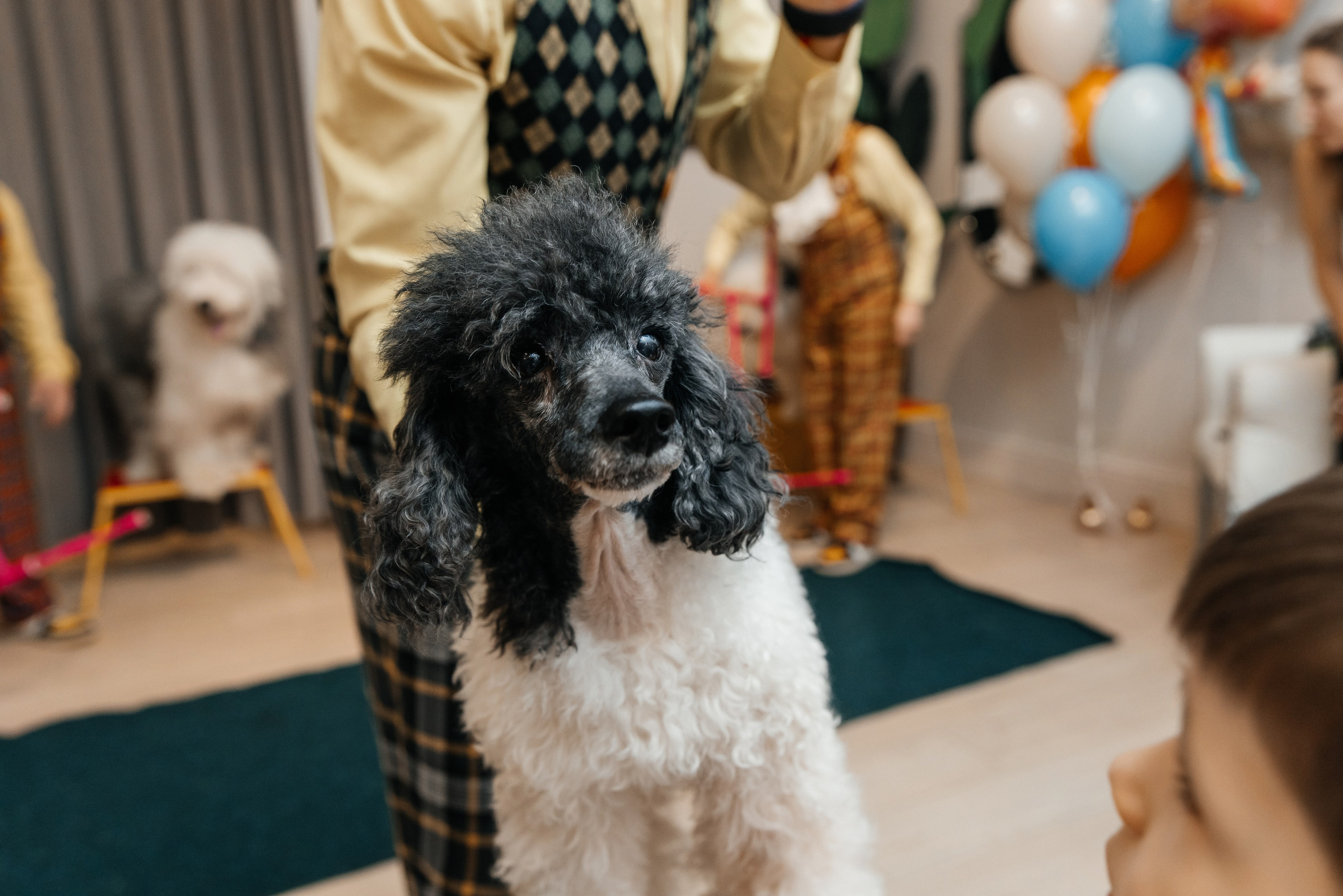 Даниил 4 года. Фотограф Москва Шептаев Артём