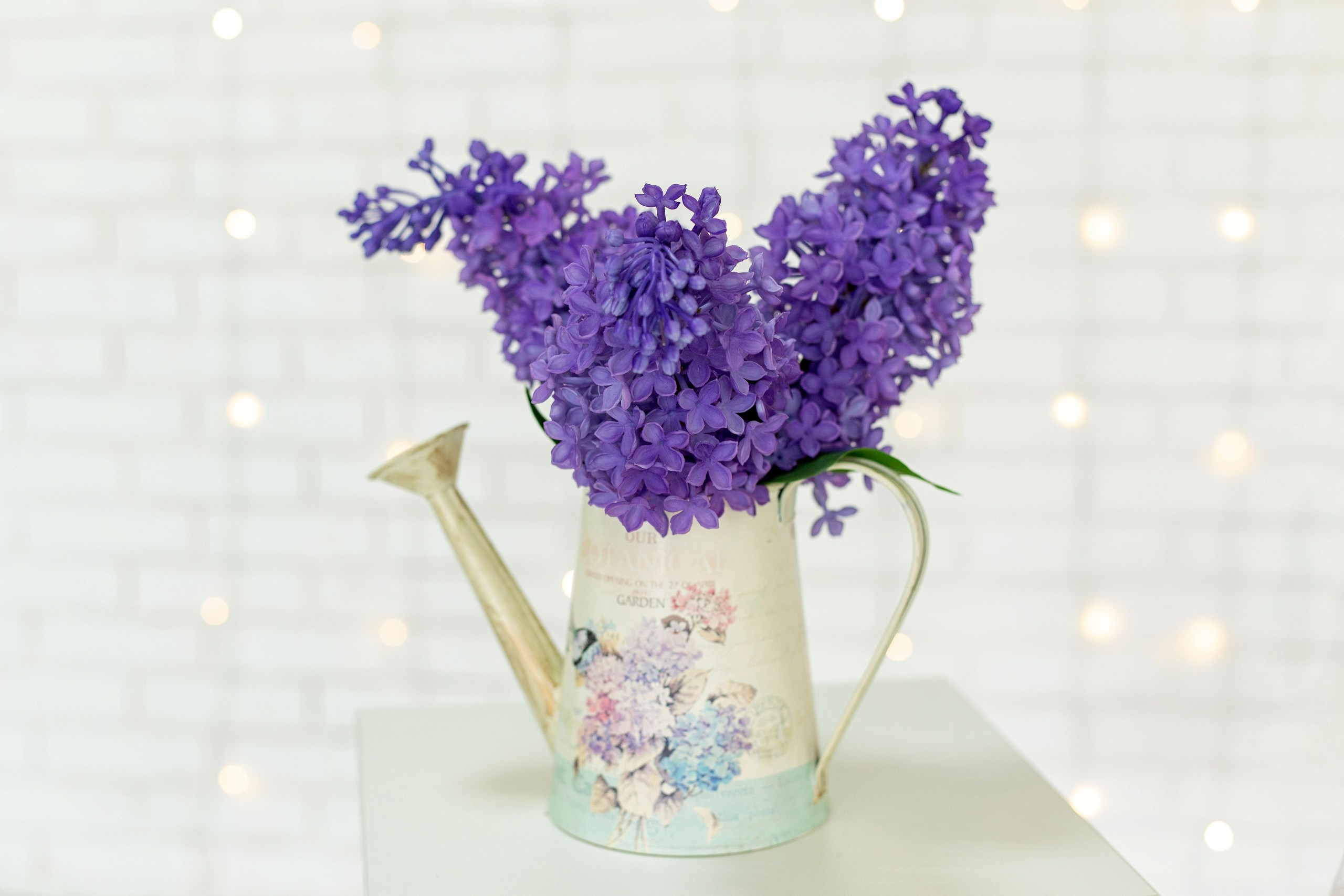 — верхняя часть города