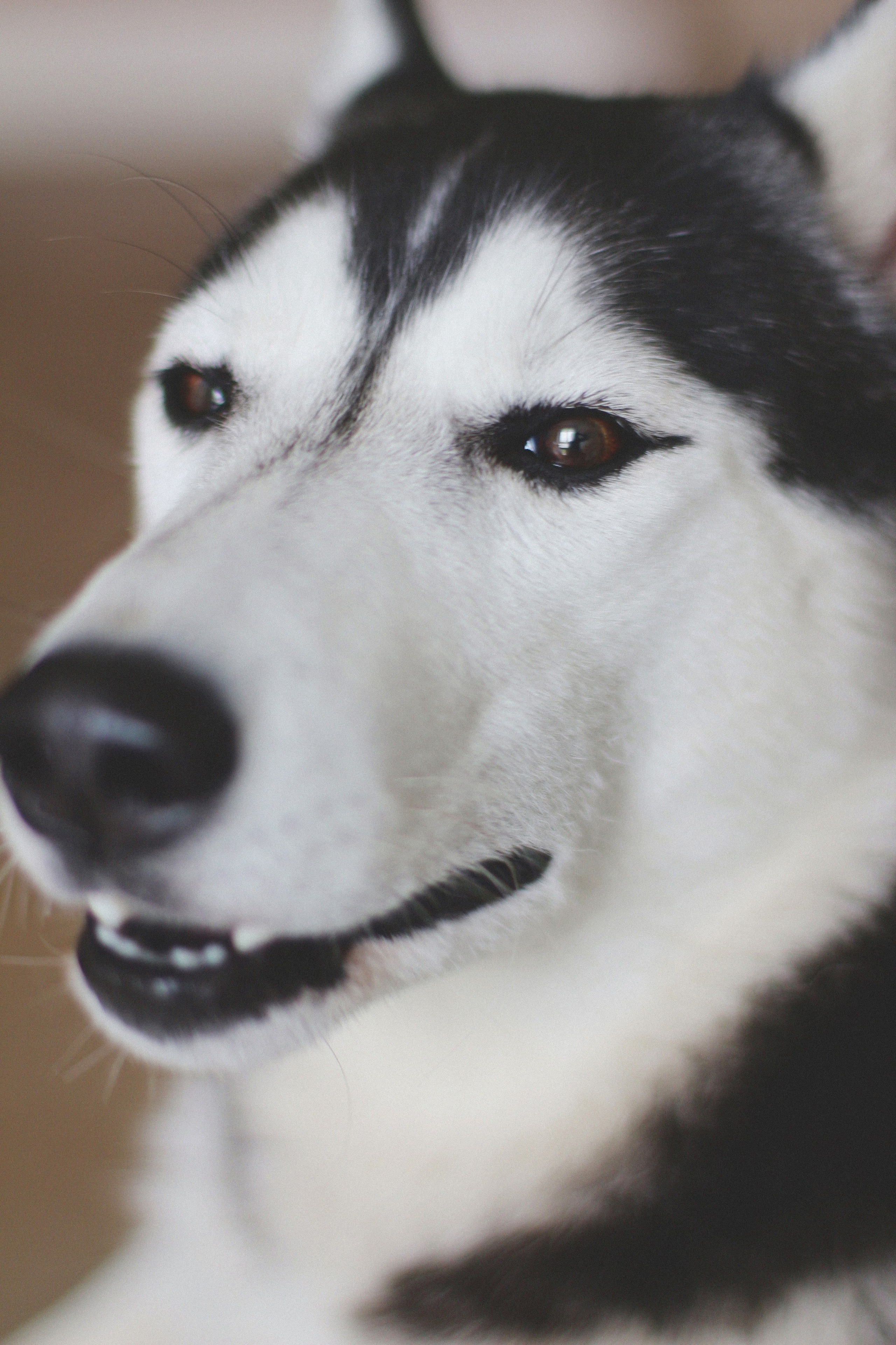 Марта. Фотограф Адигамова Юлия в Петербурге